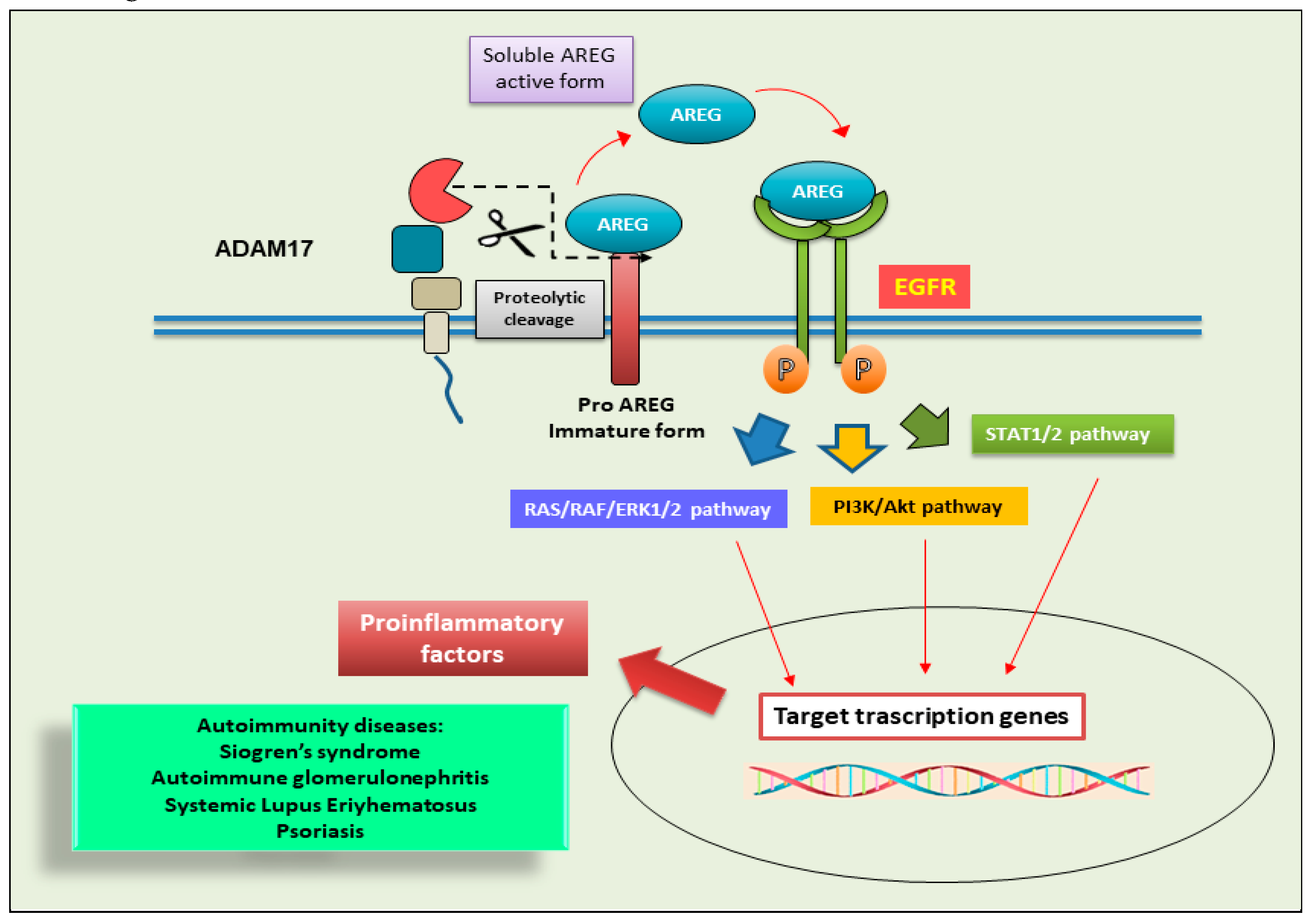 Preprints 139633 g004