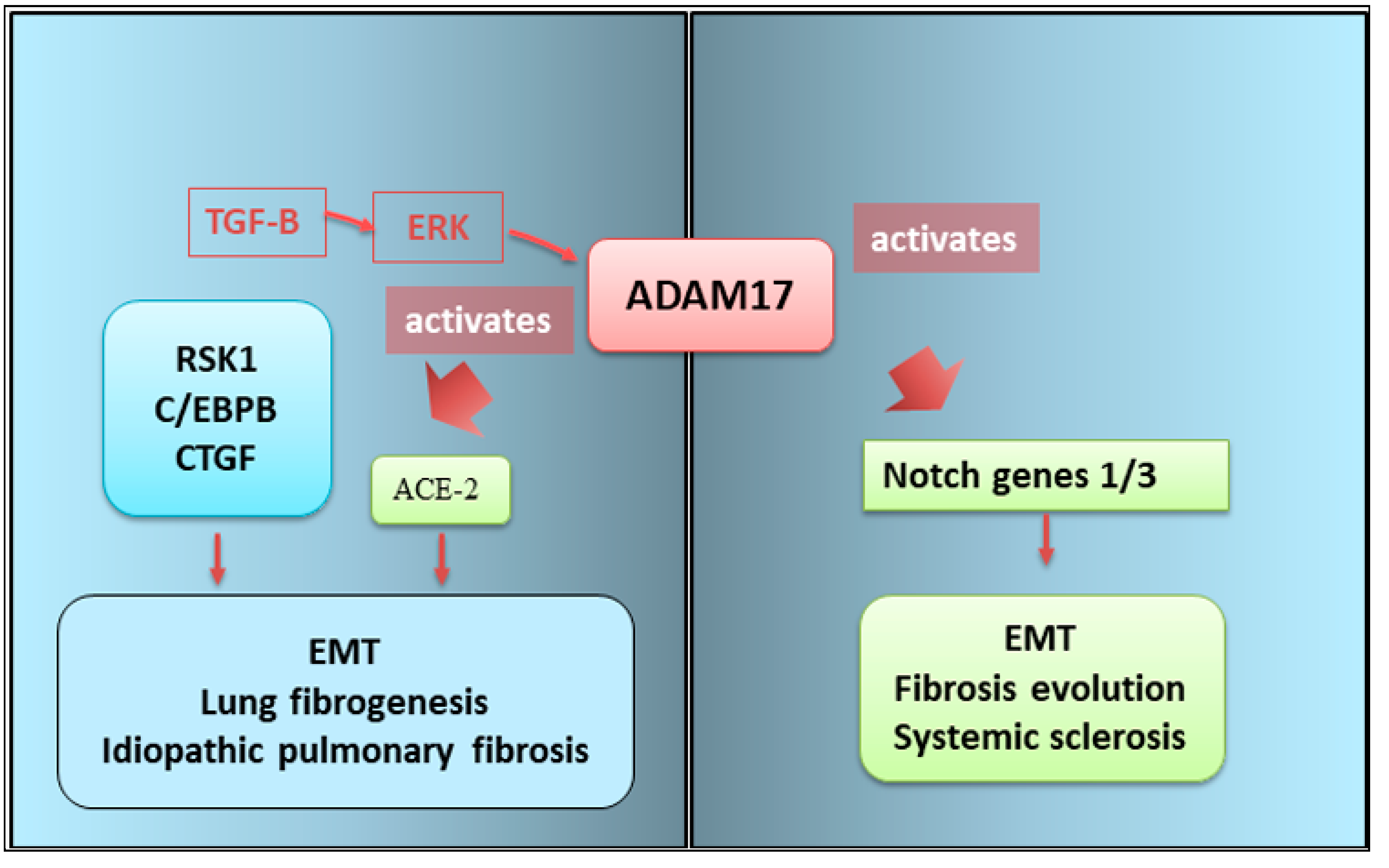 Preprints 139633 g005