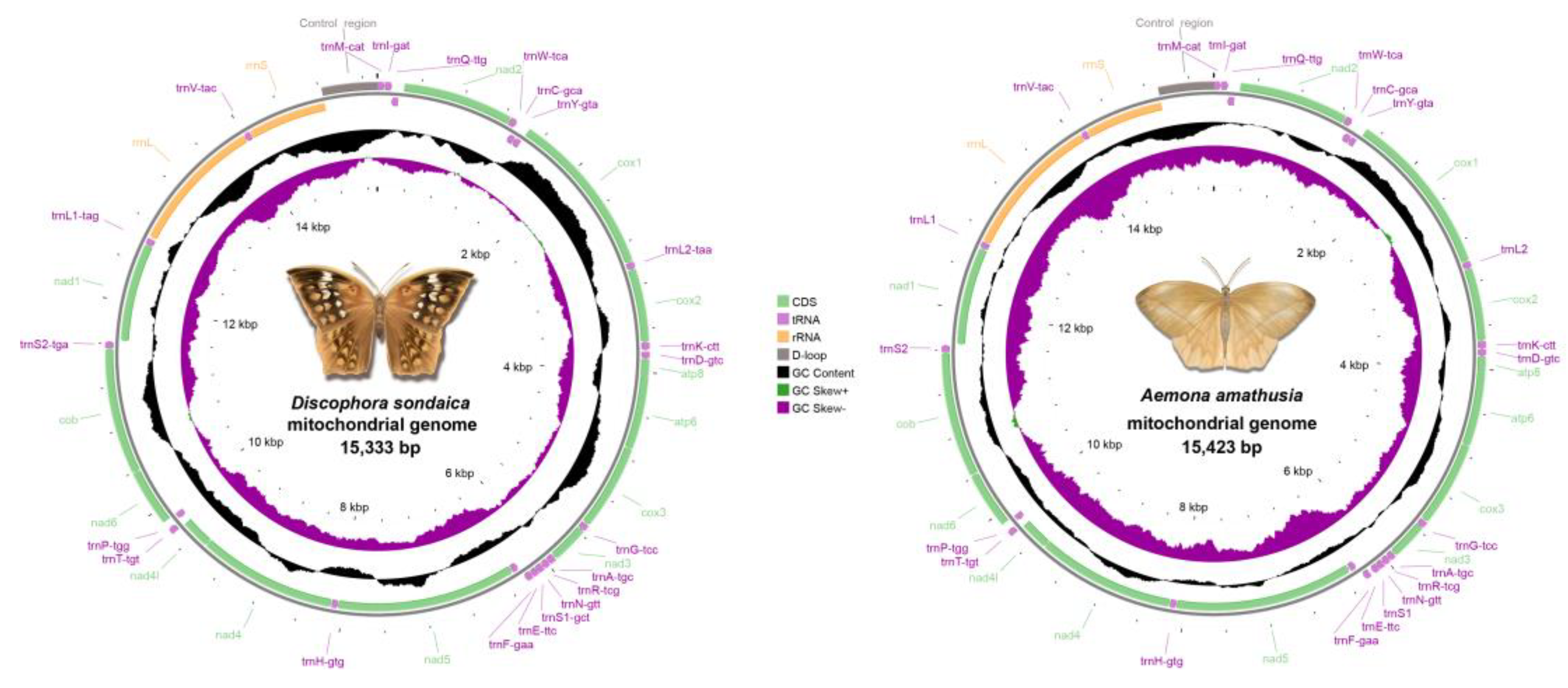 Preprints 152899 g001