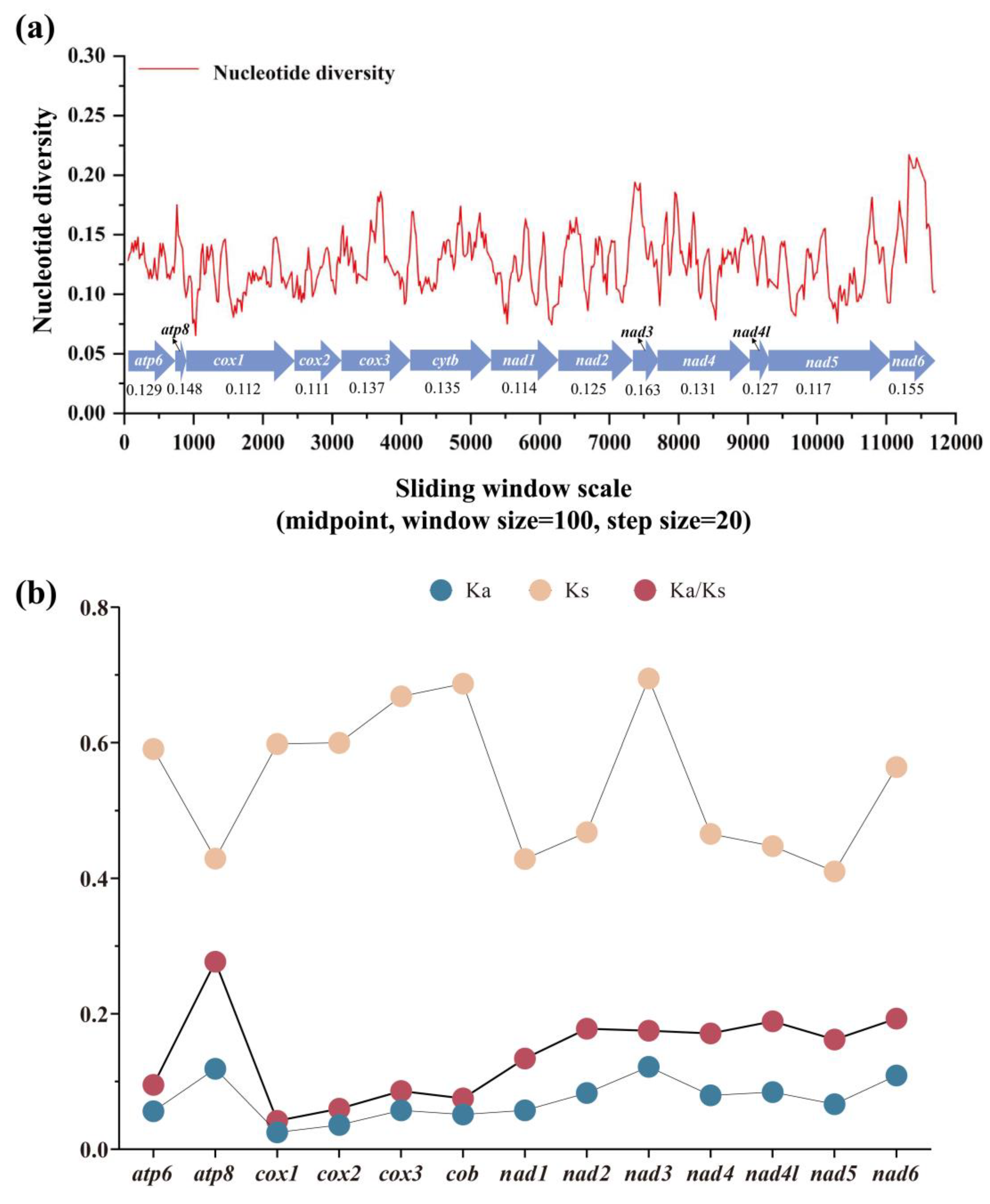 Preprints 152899 g005