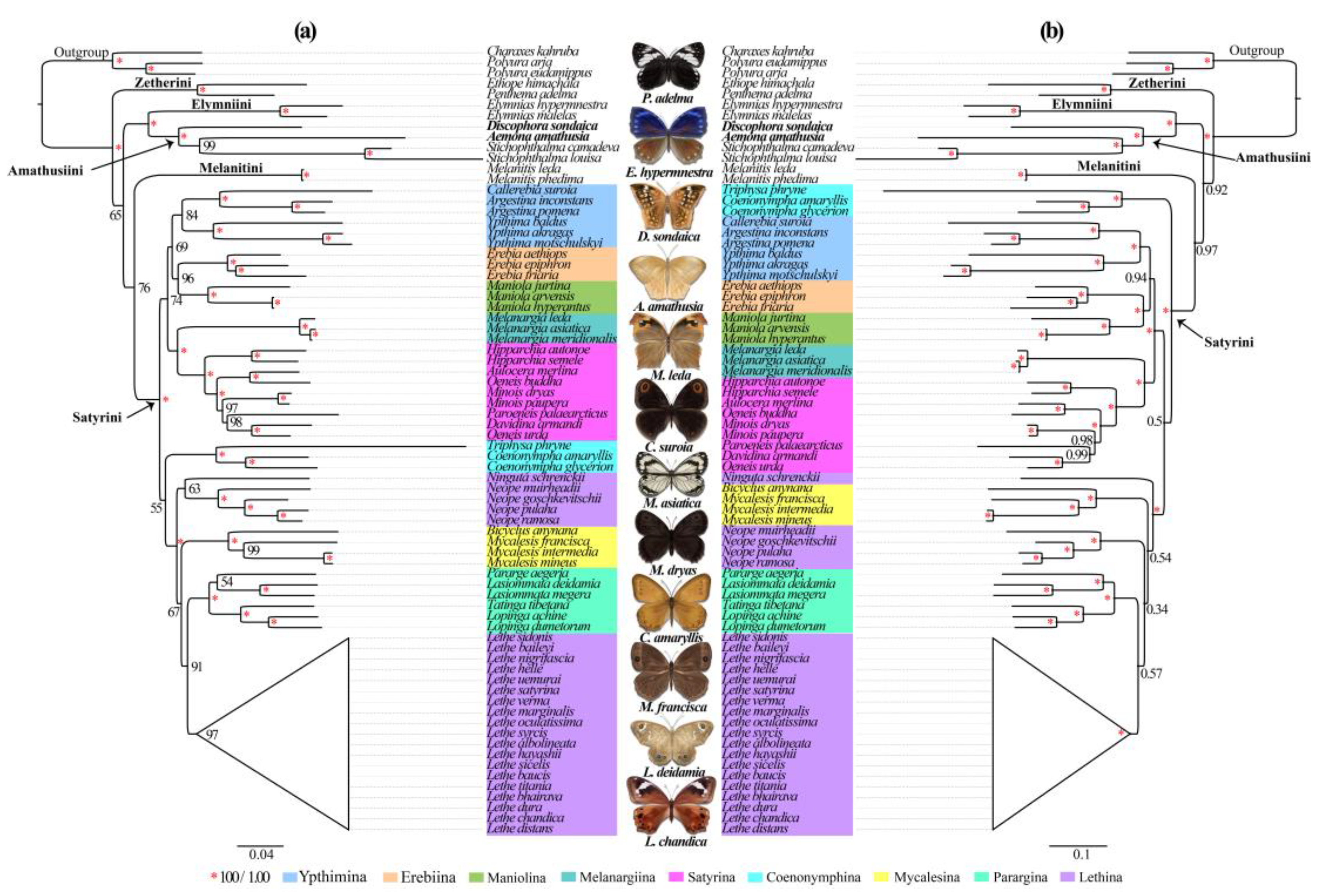 Preprints 152899 g006