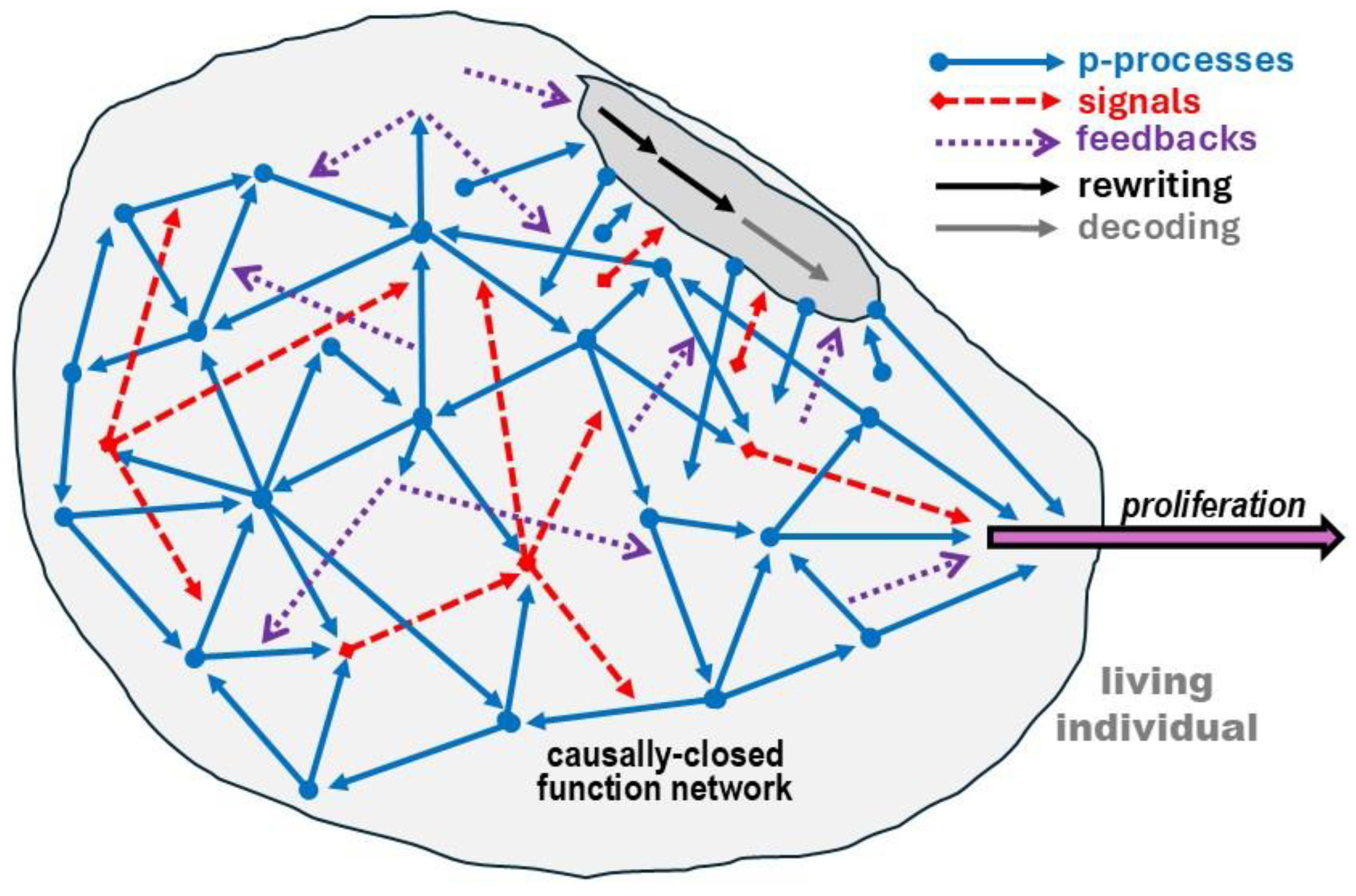 Preprints 212384 g002