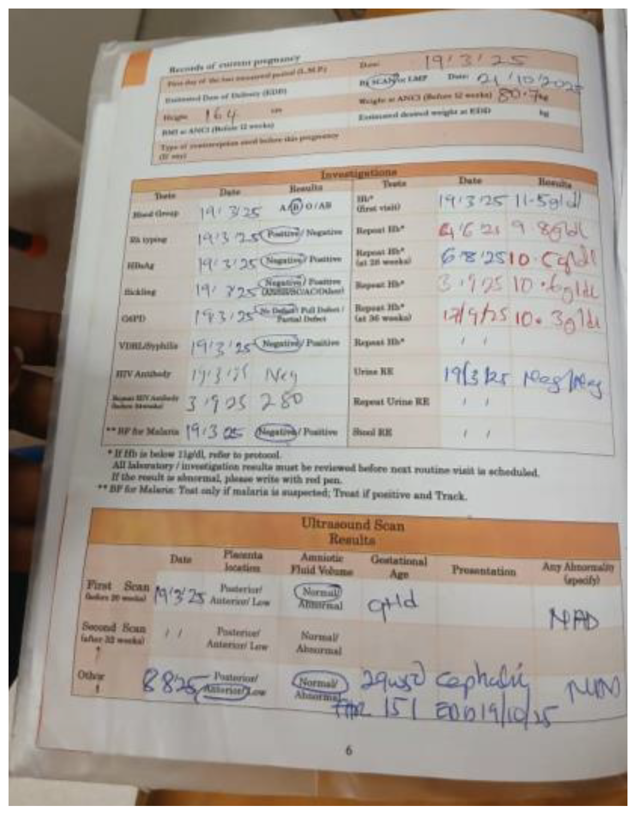 Preprints 194461 g001