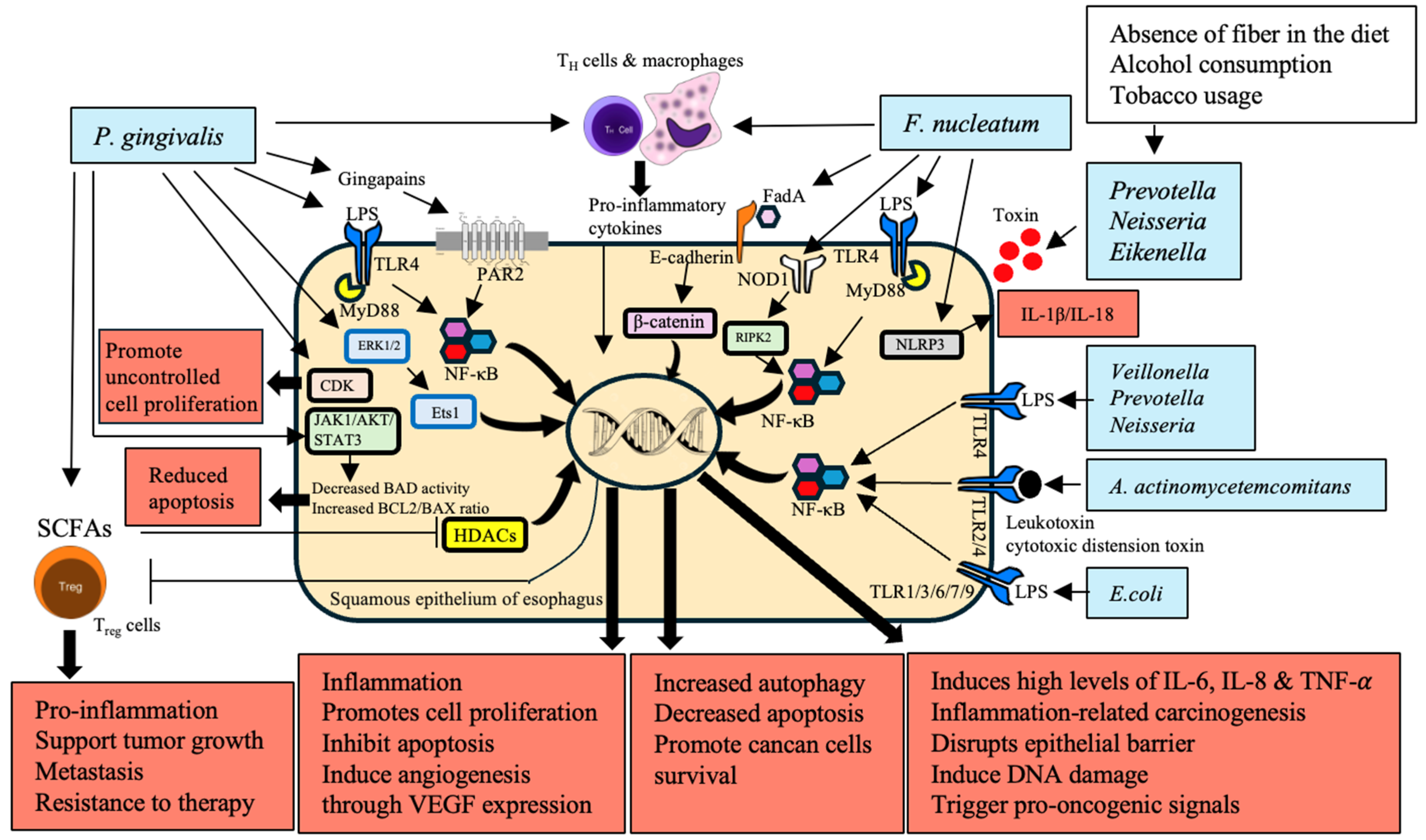 Preprints 116103 g001