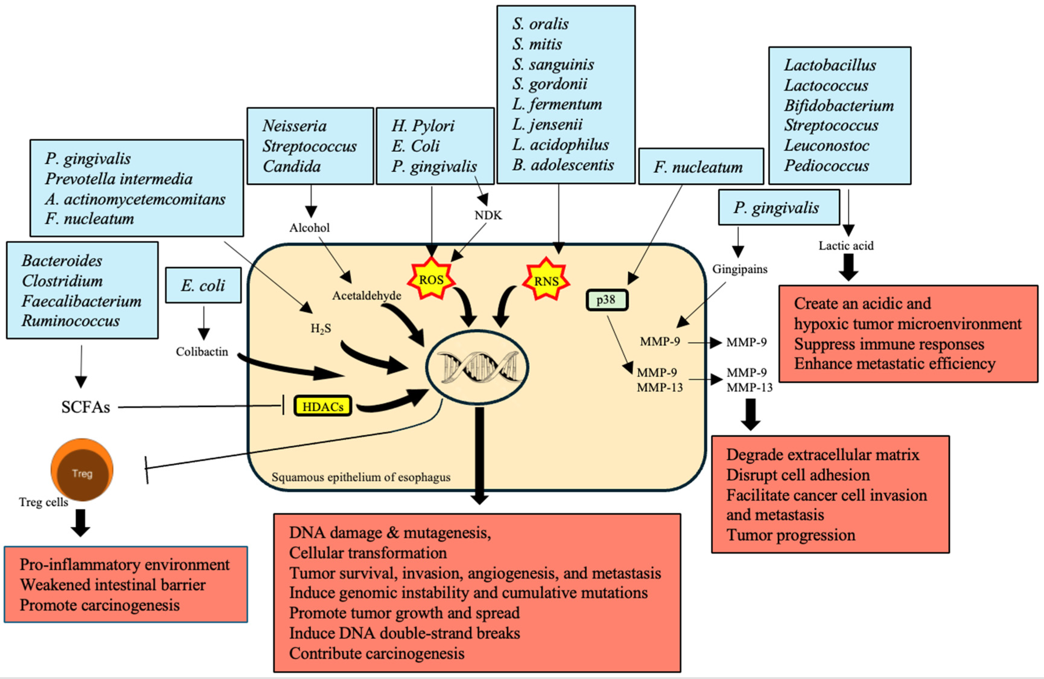 Preprints 116103 g002