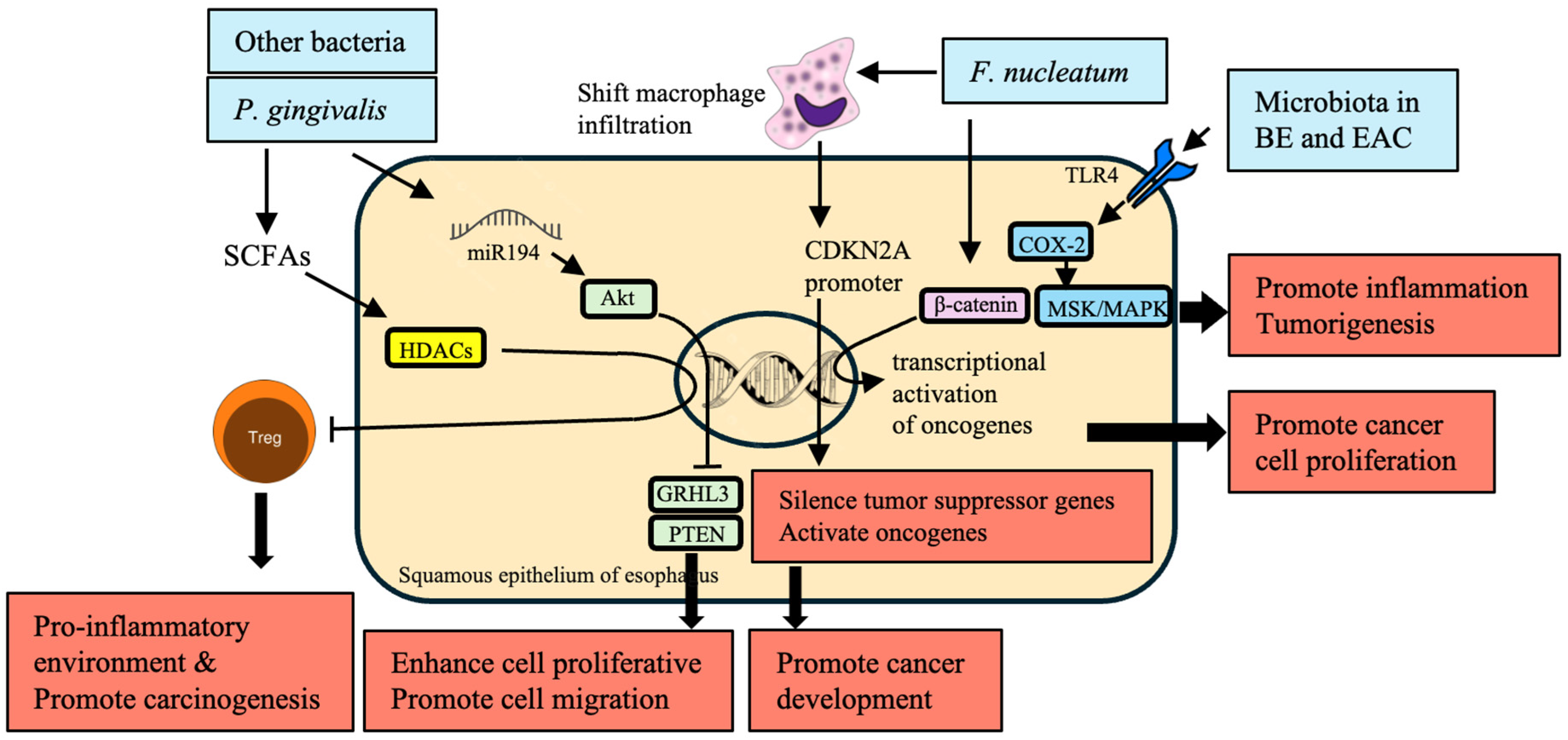Preprints 116103 g003