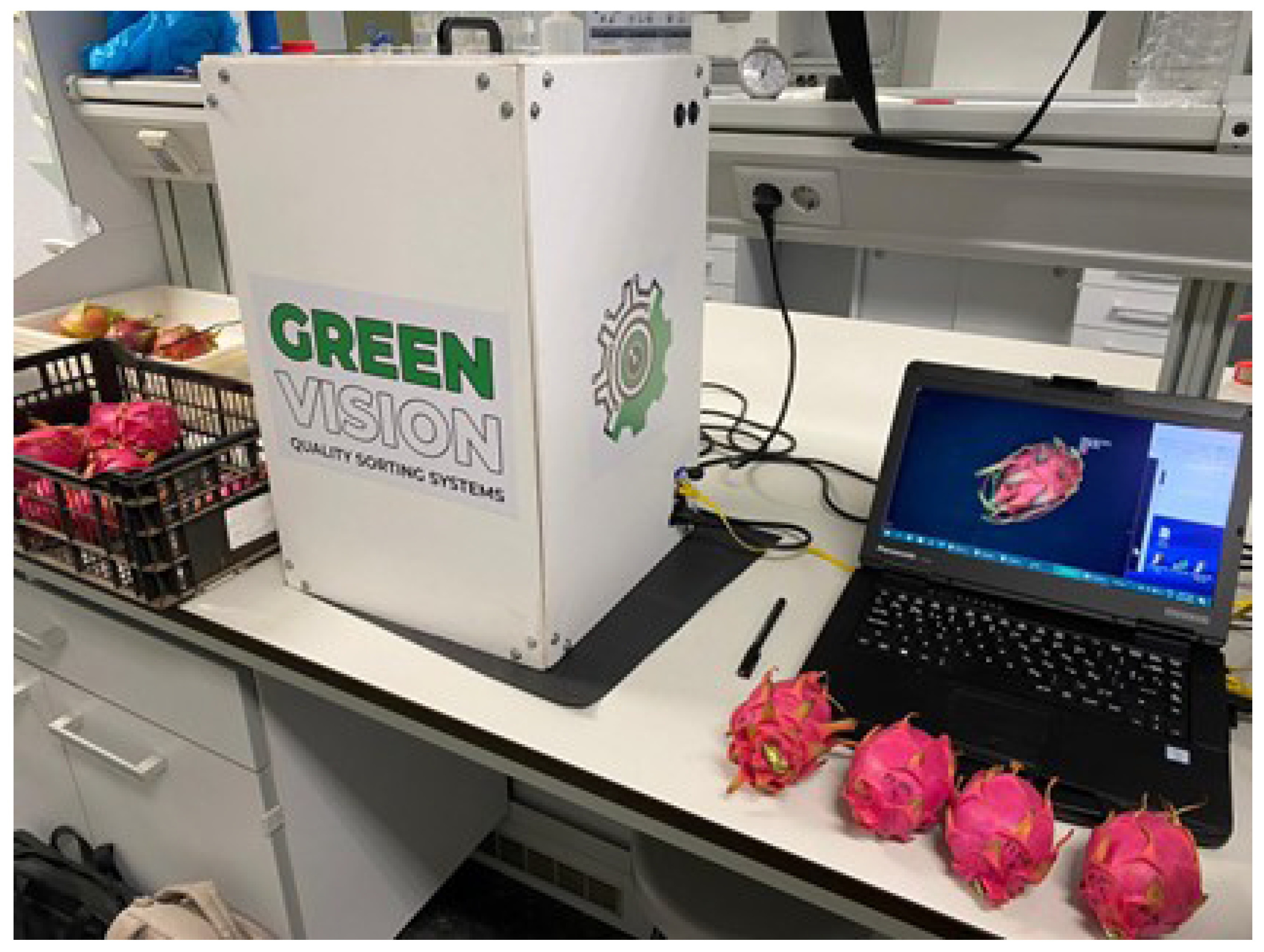 Preprints 193301 g002