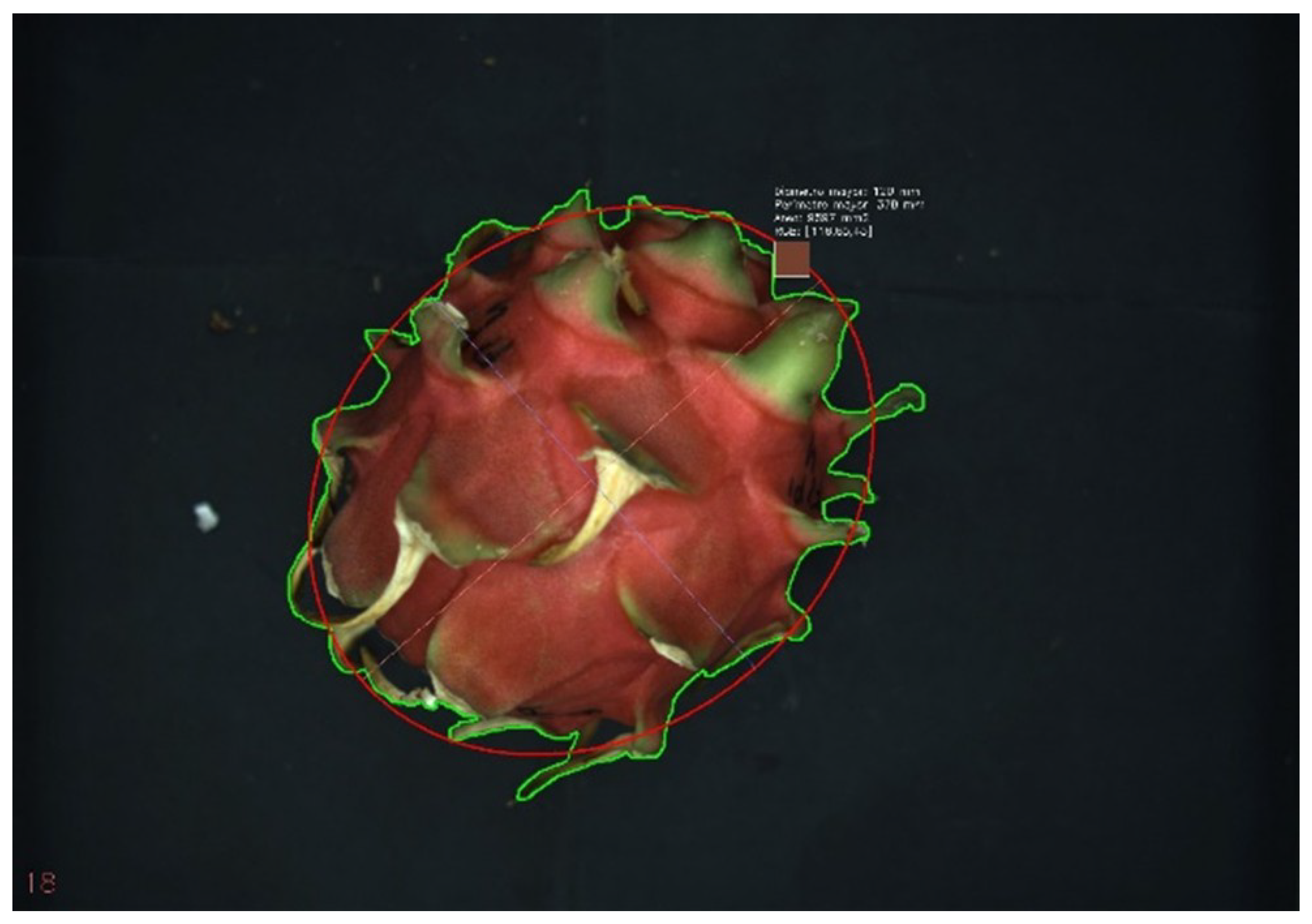 Preprints 193301 g003