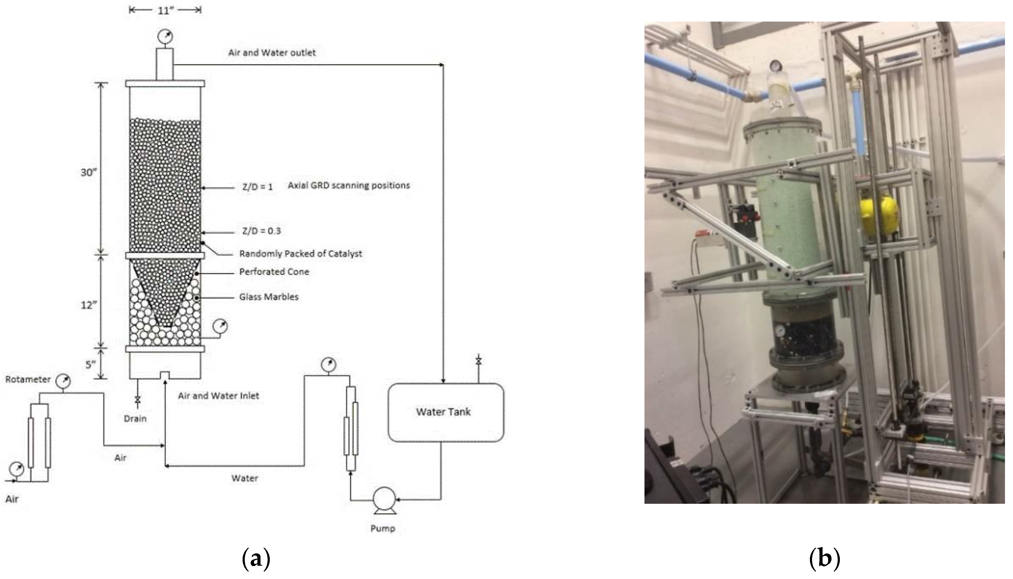 Preprints 91331 g001