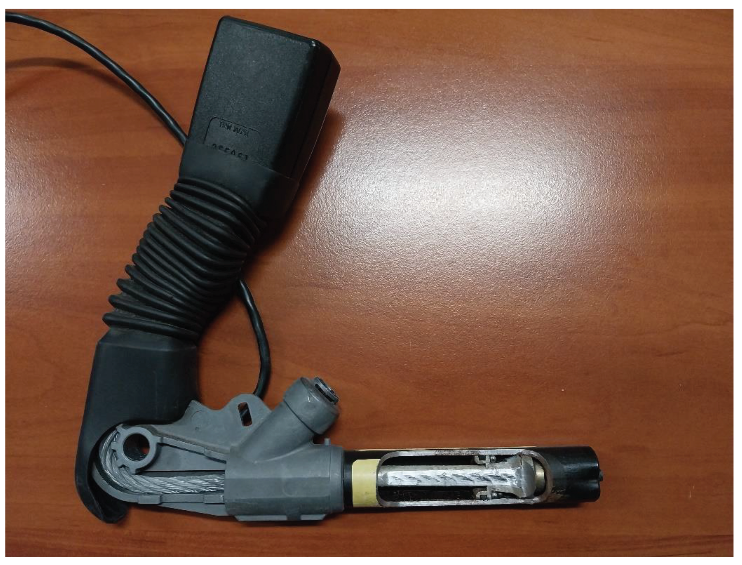 Preprints 101192 g001