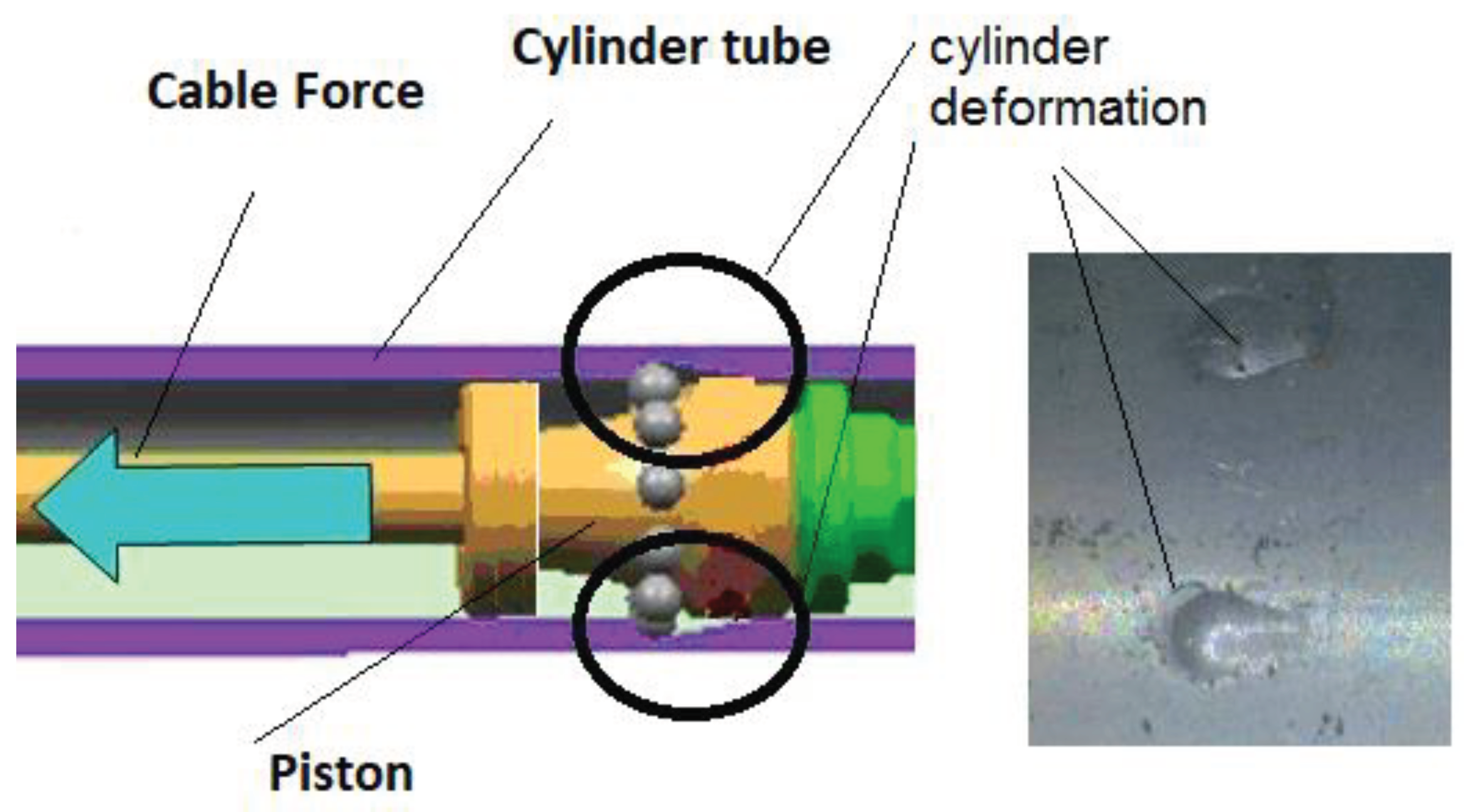 Preprints 101192 g002