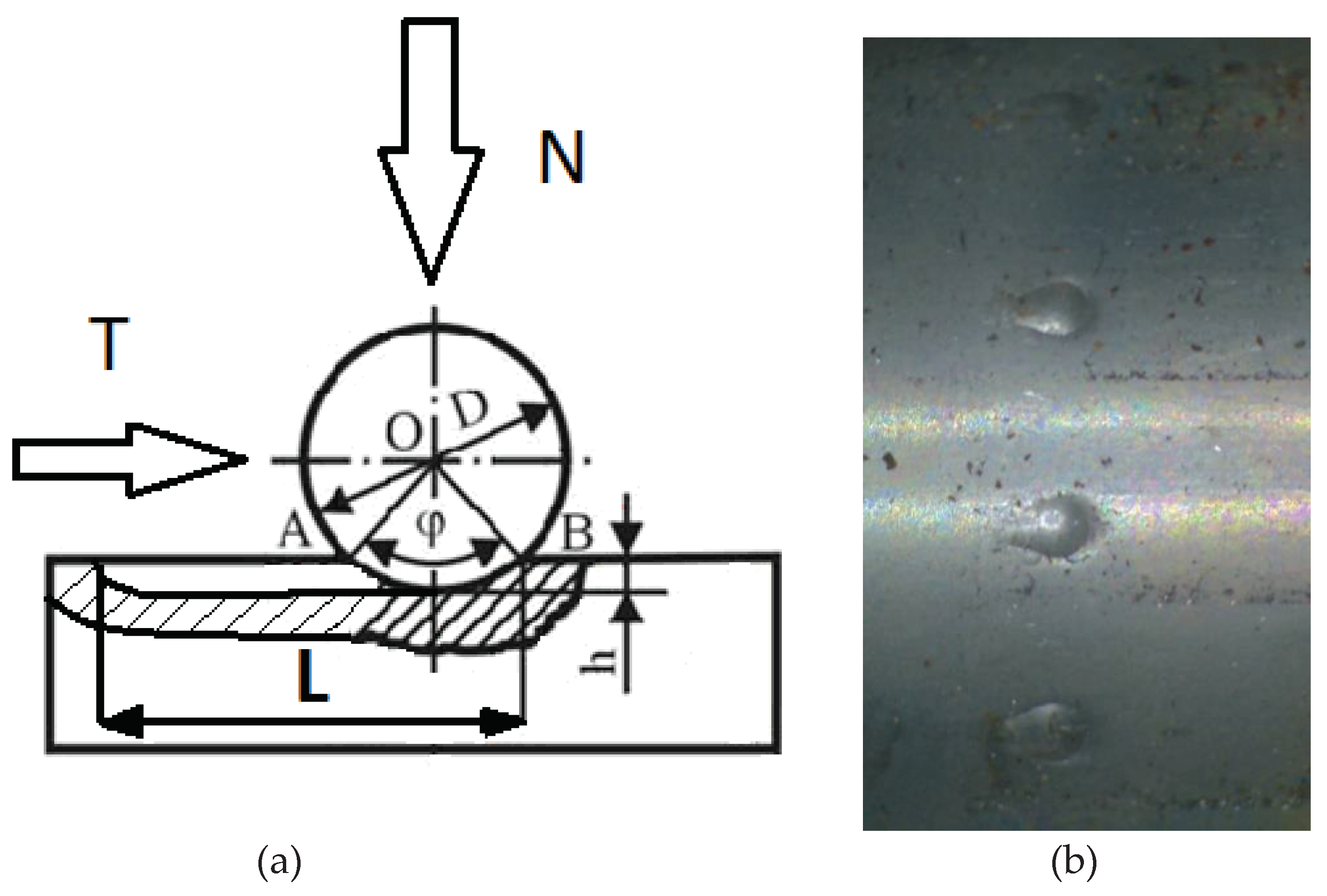 Preprints 101192 g004