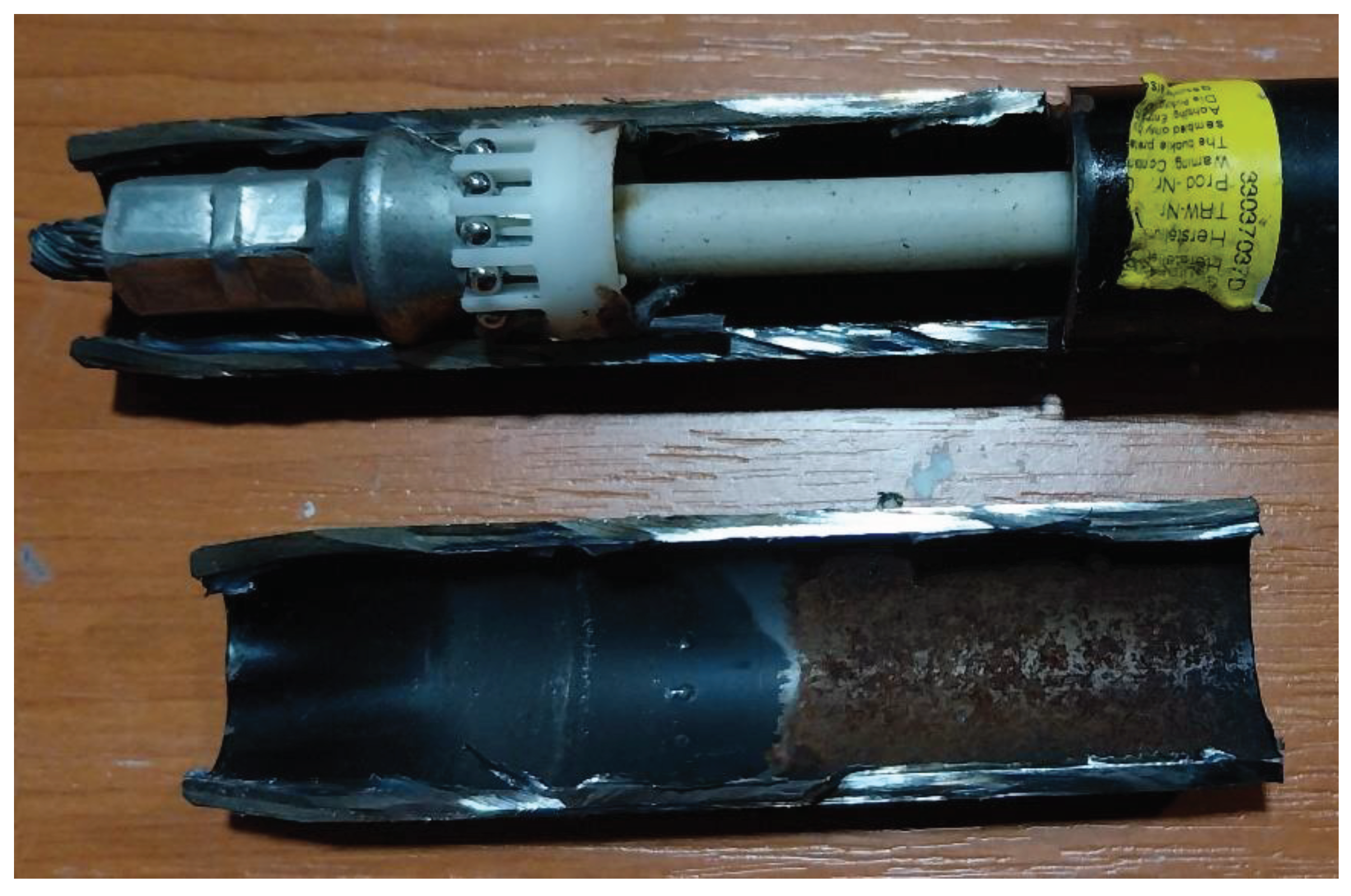 Preprints 101192 g005