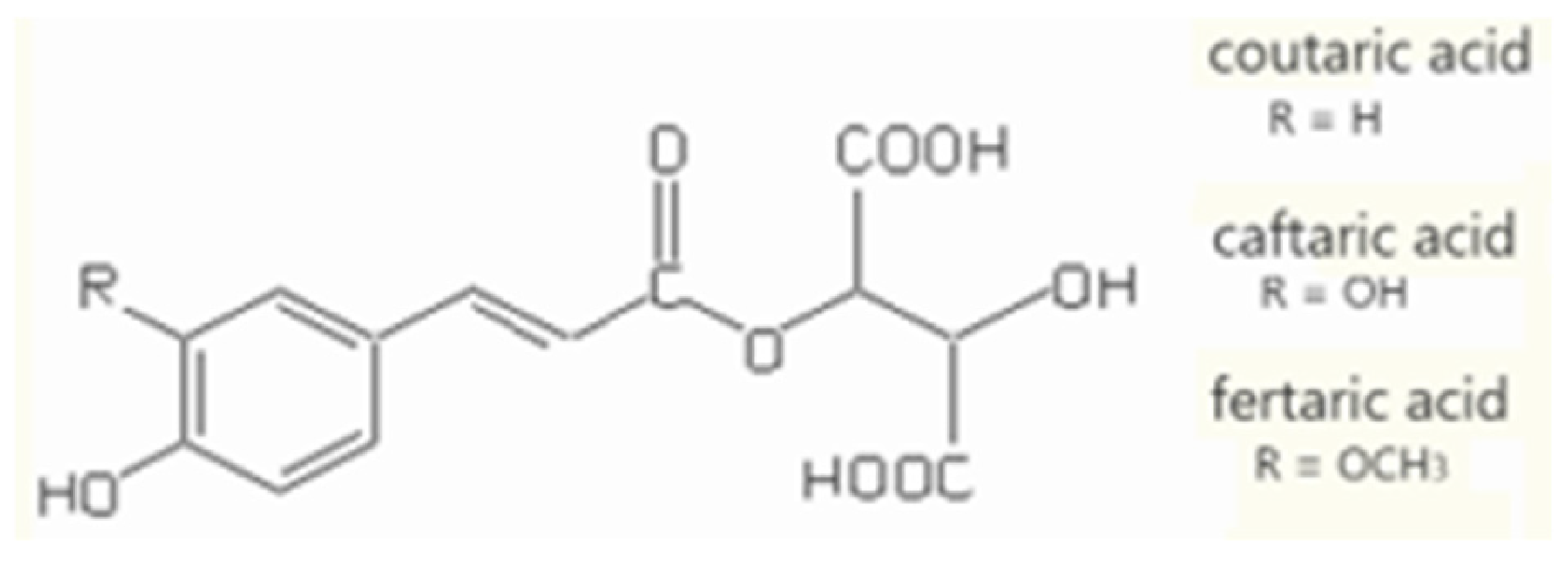 Preprints 179513 g002