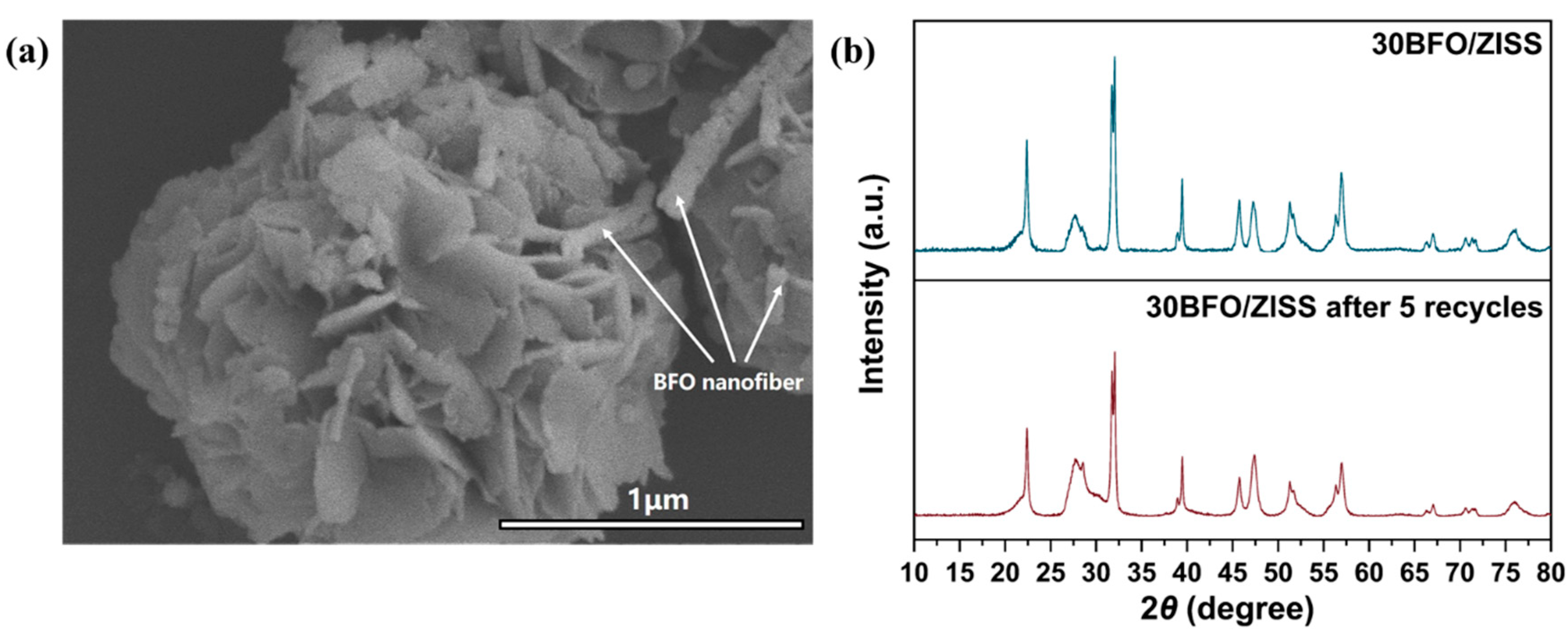 Preprints 77279 g011