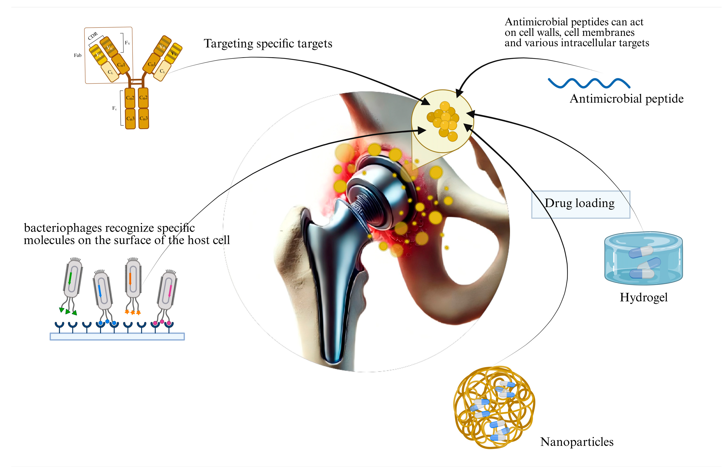 Preprints 180661 g002