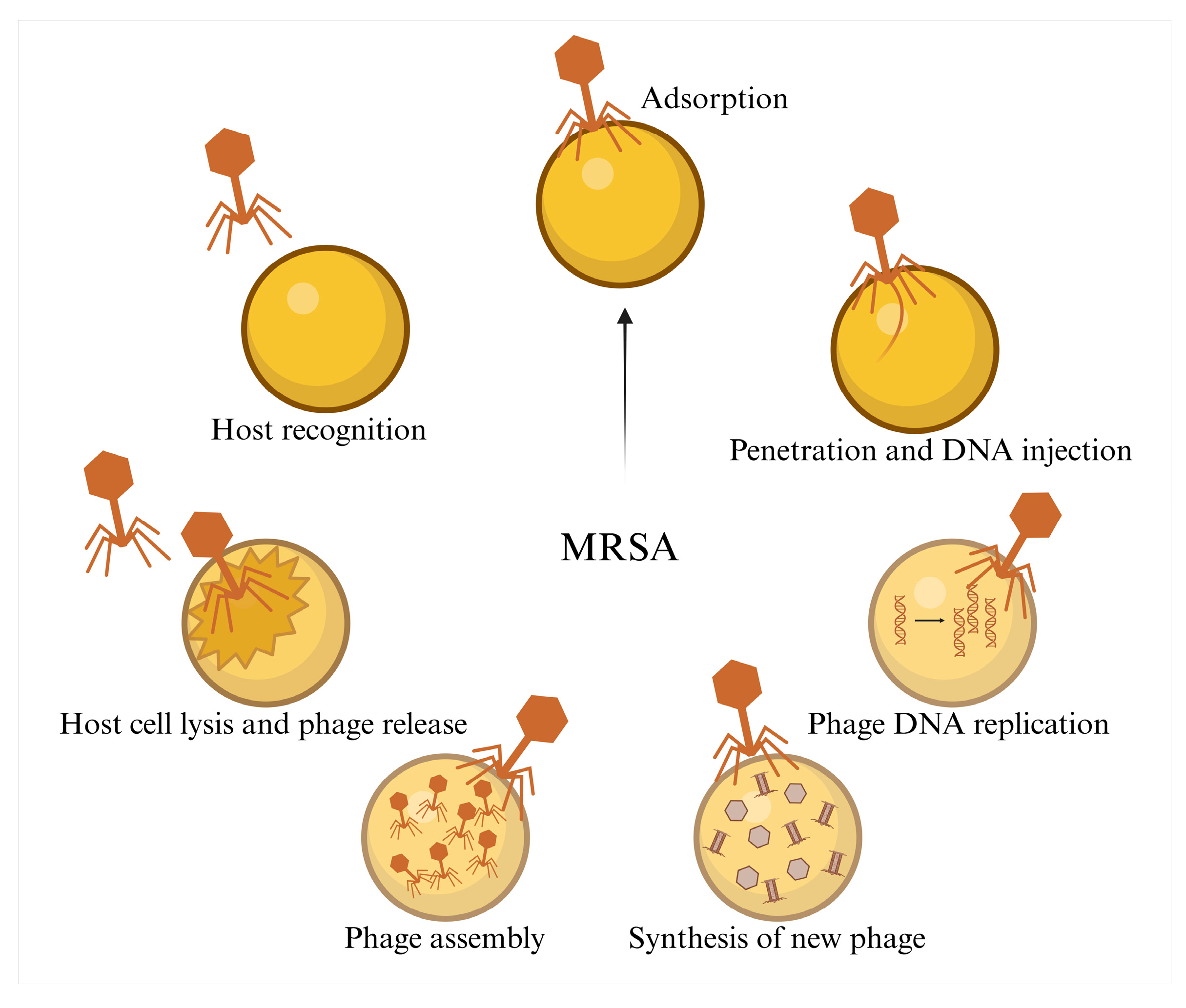 Preprints 180661 g004
