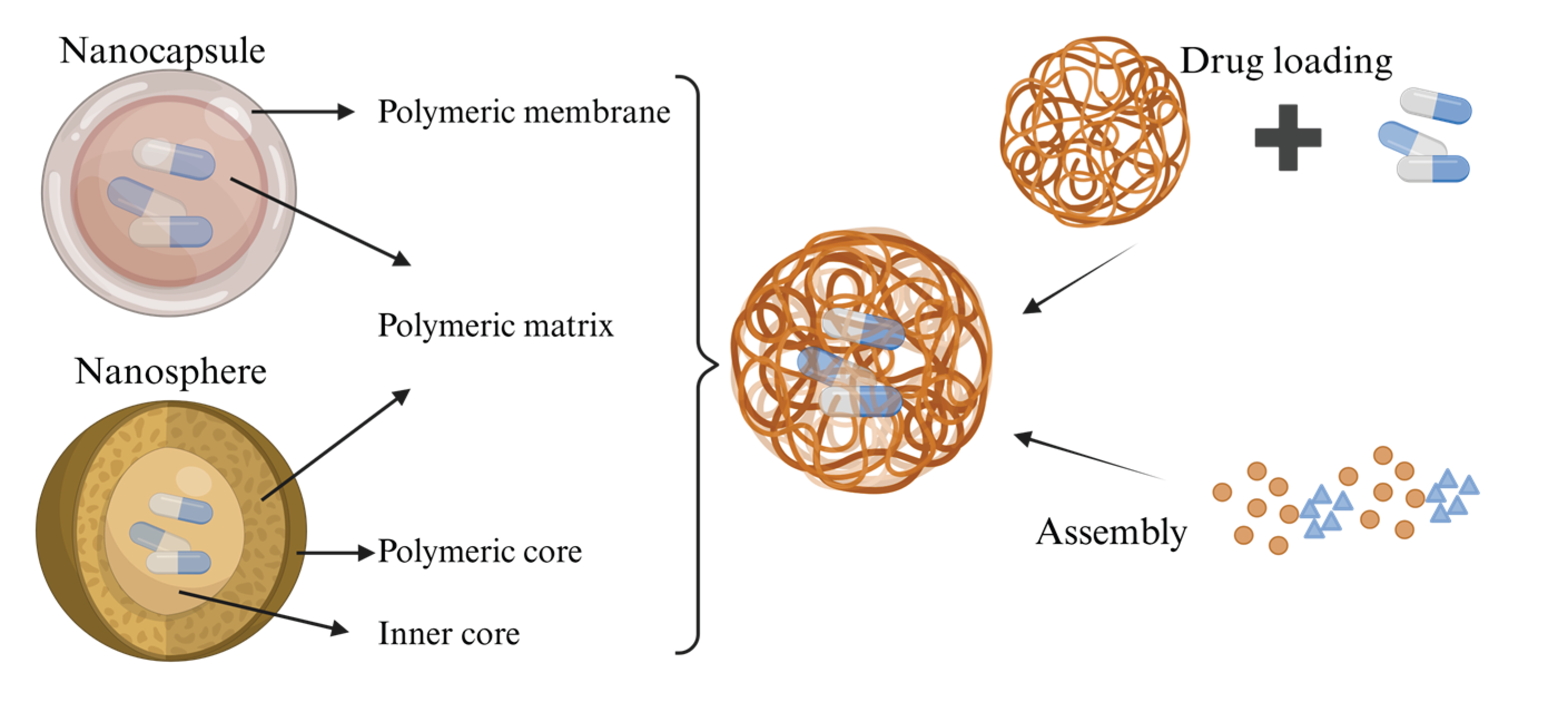 Preprints 180661 g005