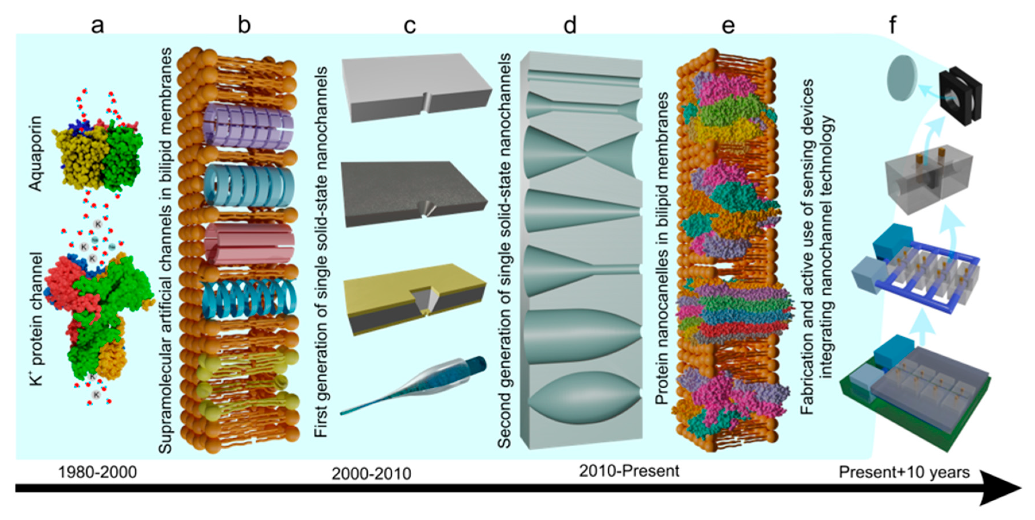 Preprints 166093 g001
