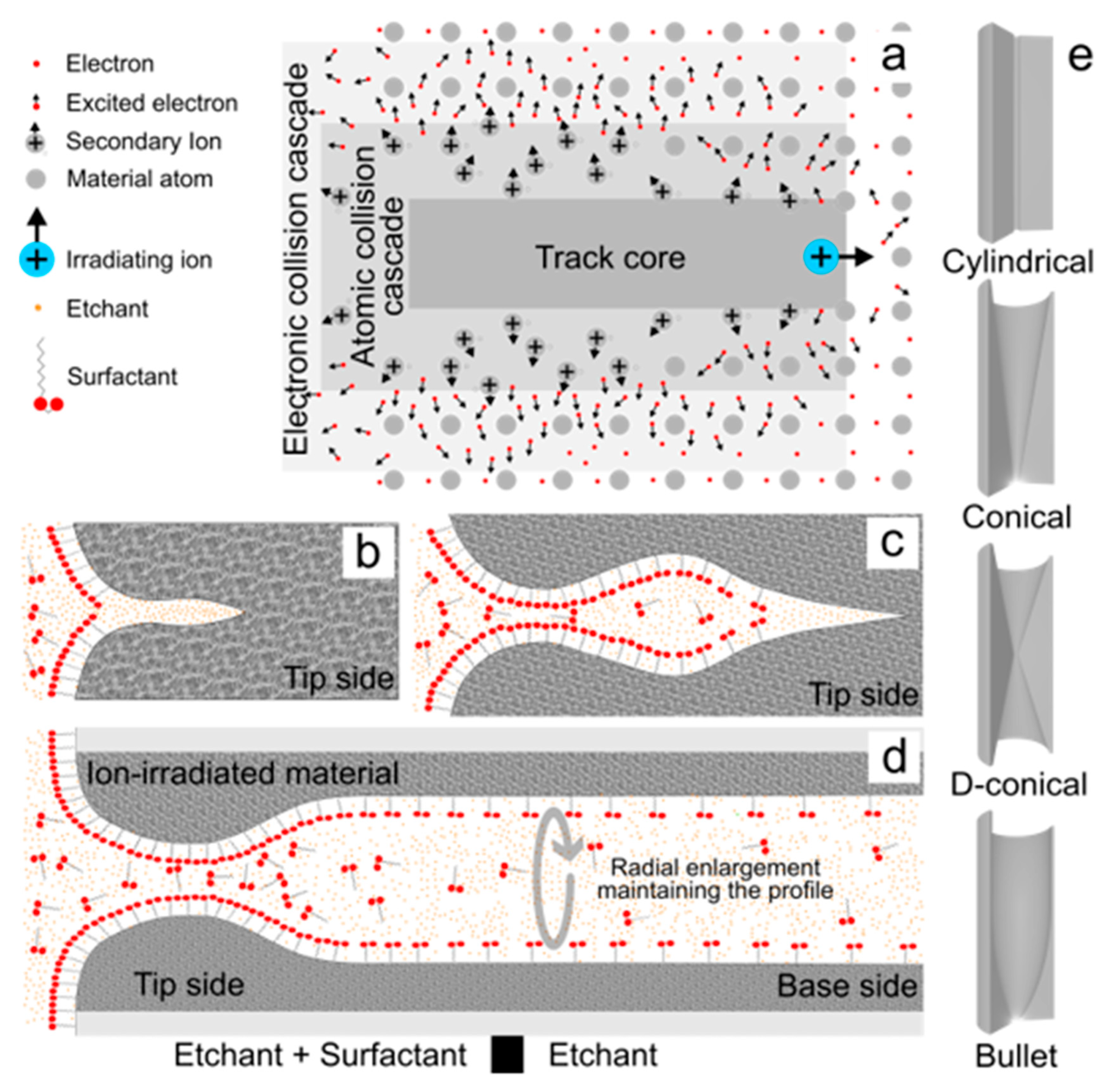 Preprints 166093 g002