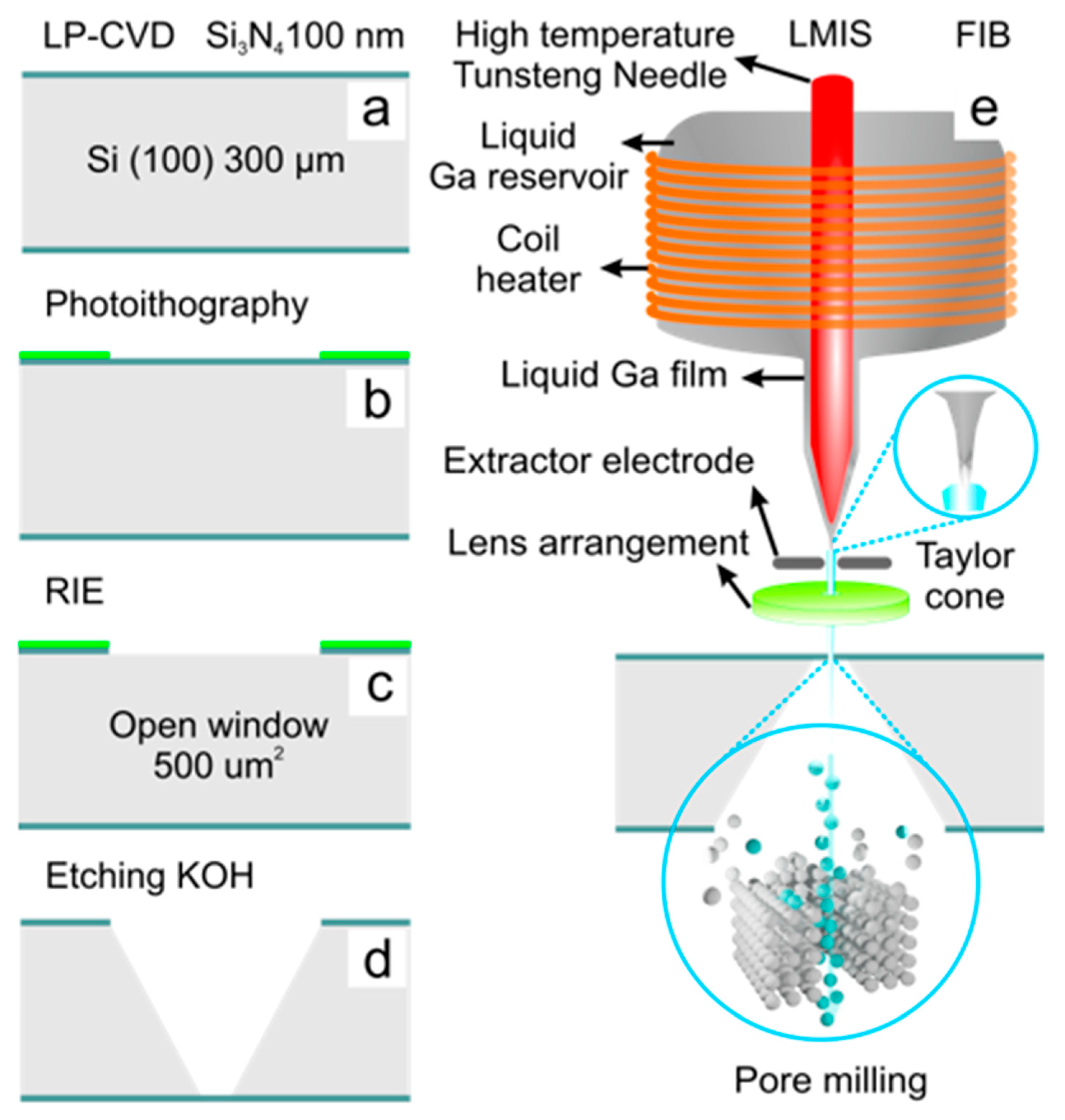 Preprints 166093 g003