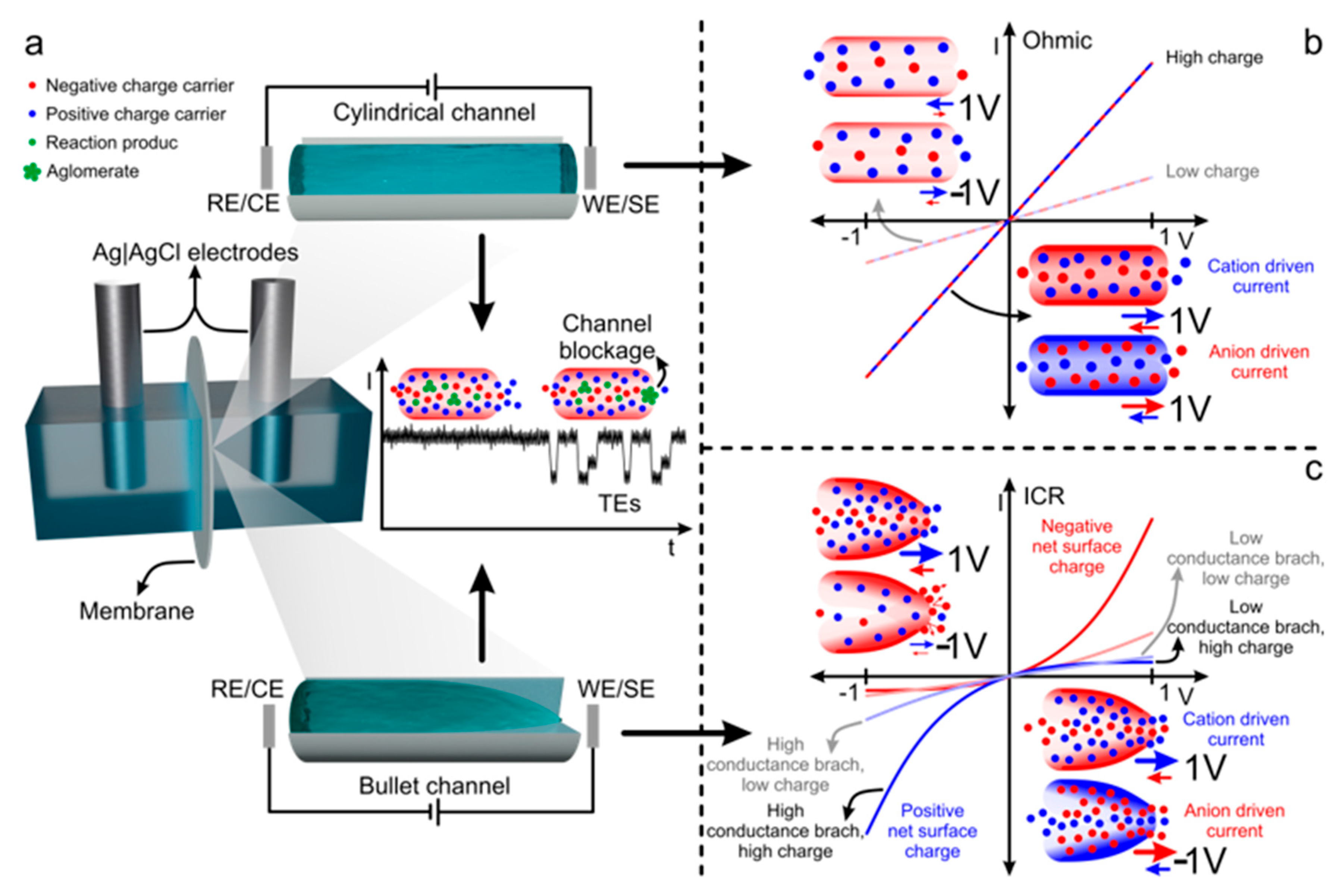 Preprints 166093 g006