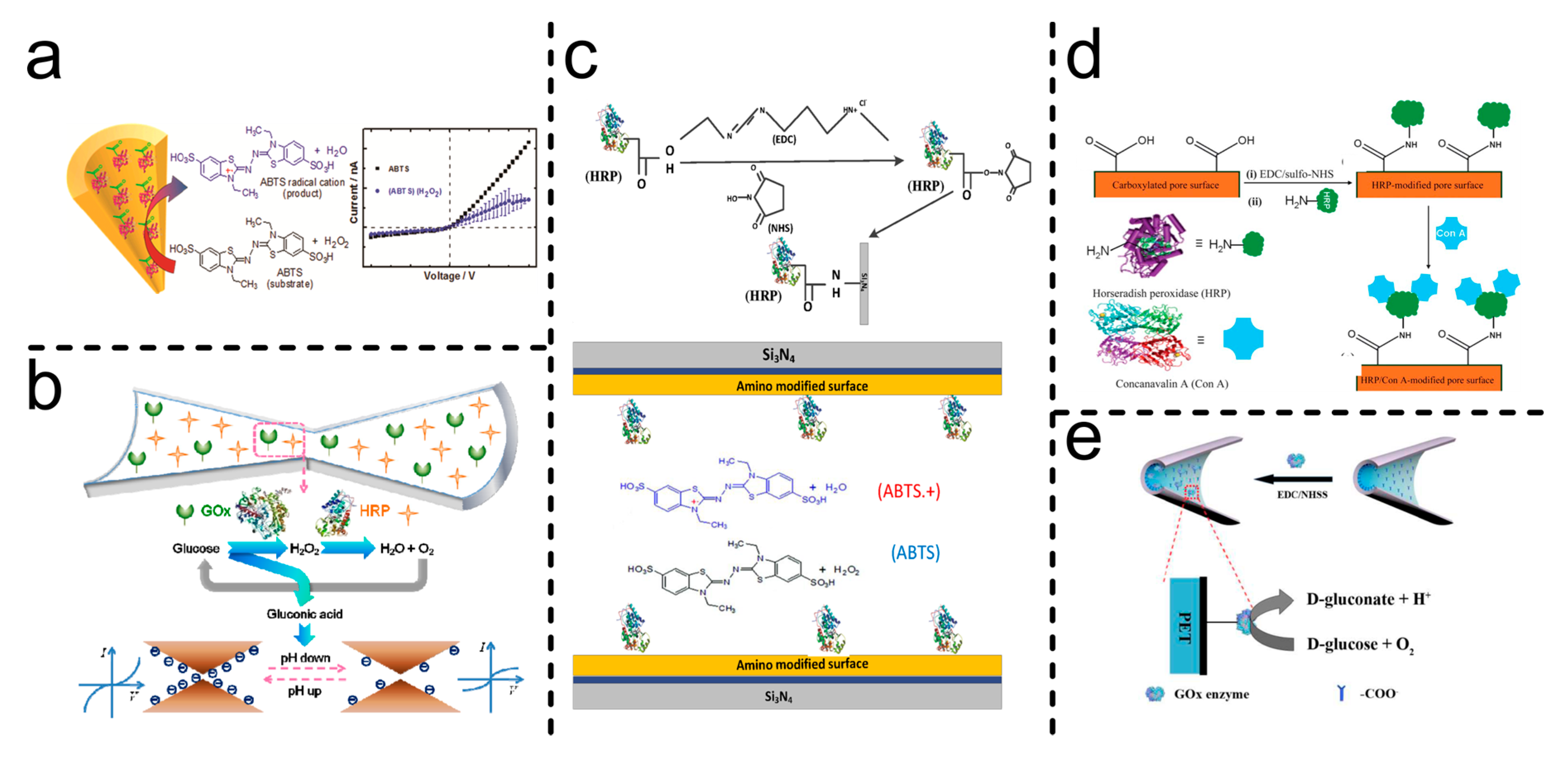 Preprints 166093 g009