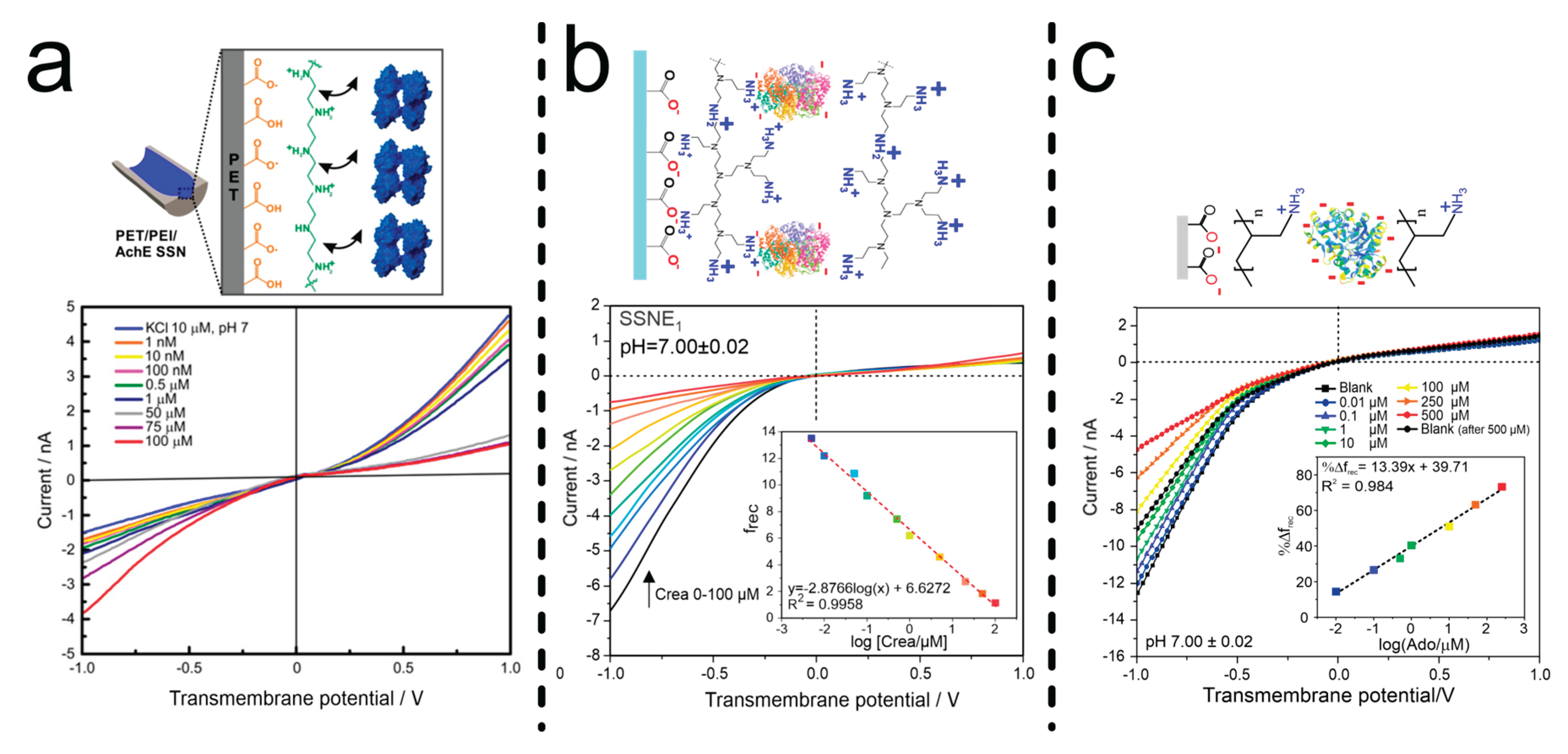 Preprints 166093 g011