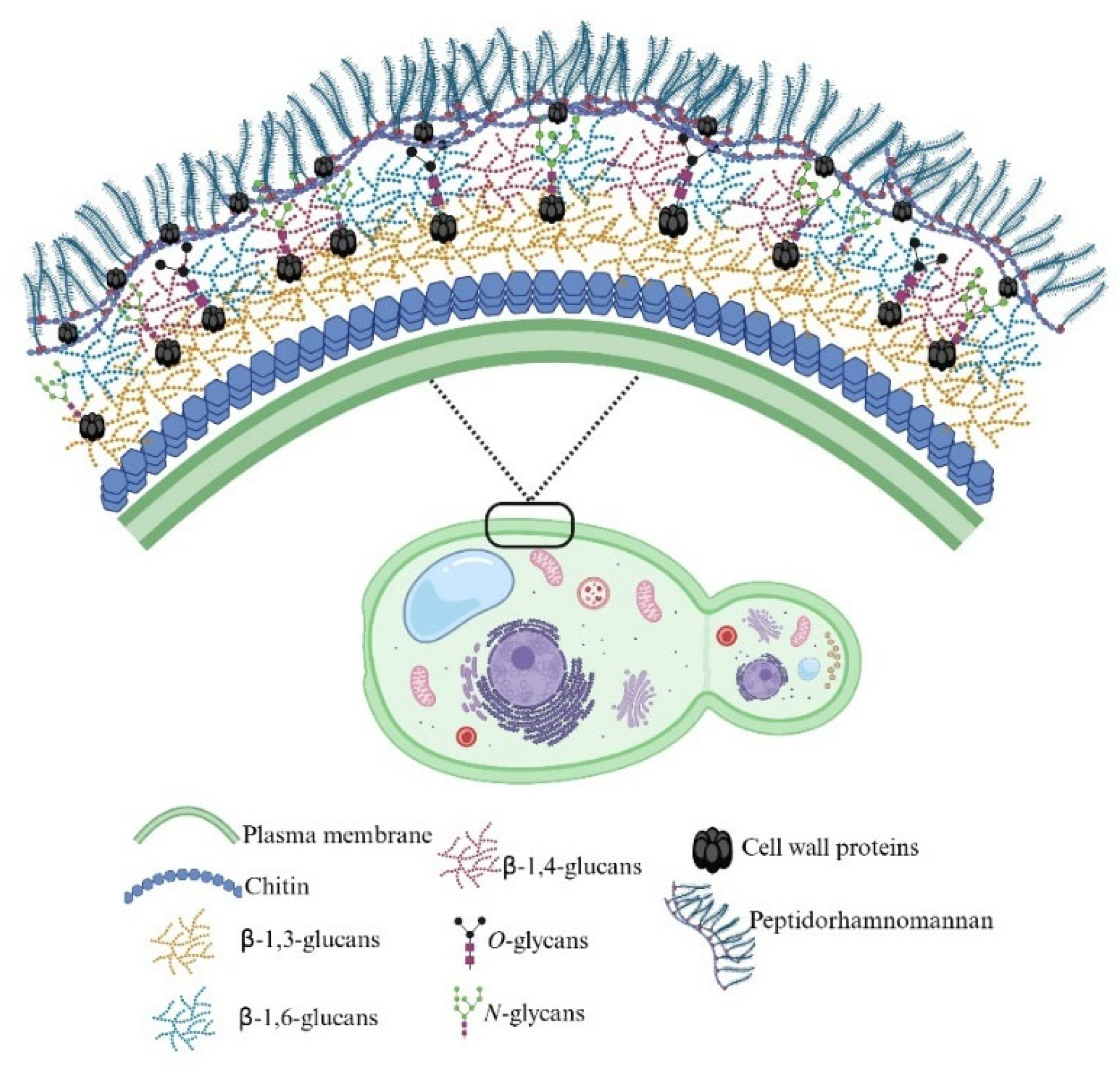 Preprints 187314 g002