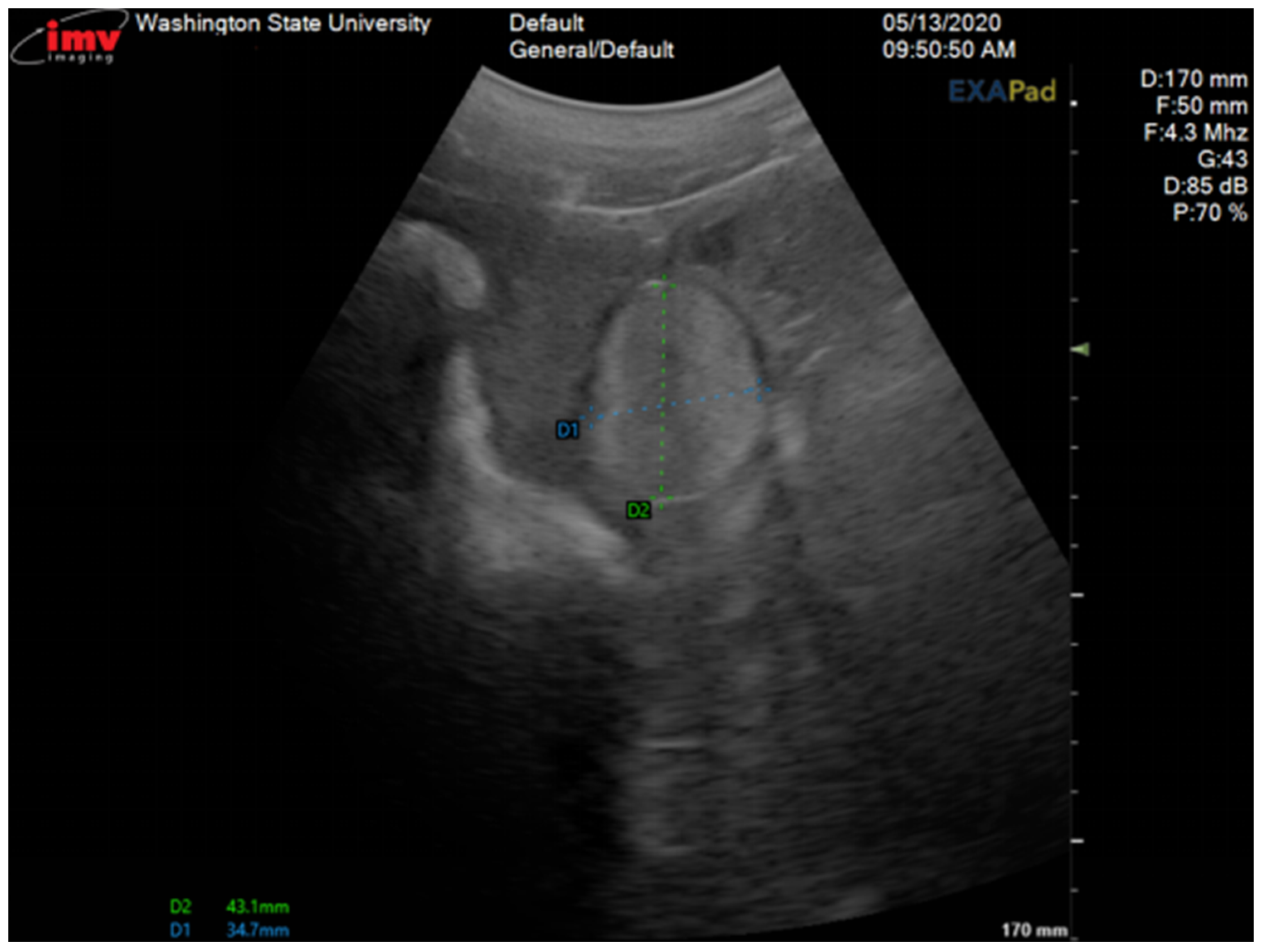 Preprints 146475 g002