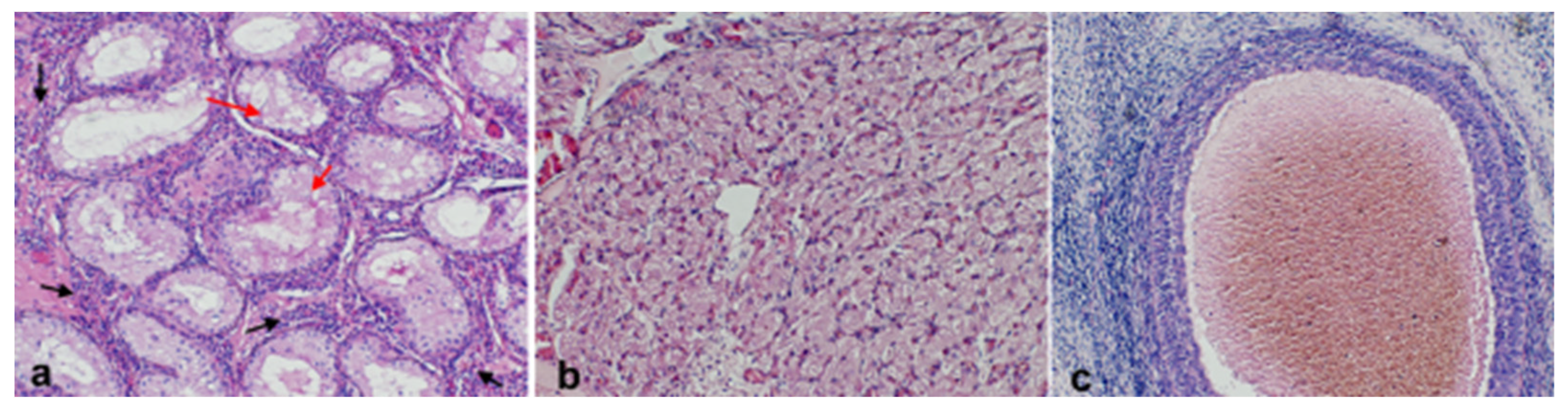 Preprints 146475 g004