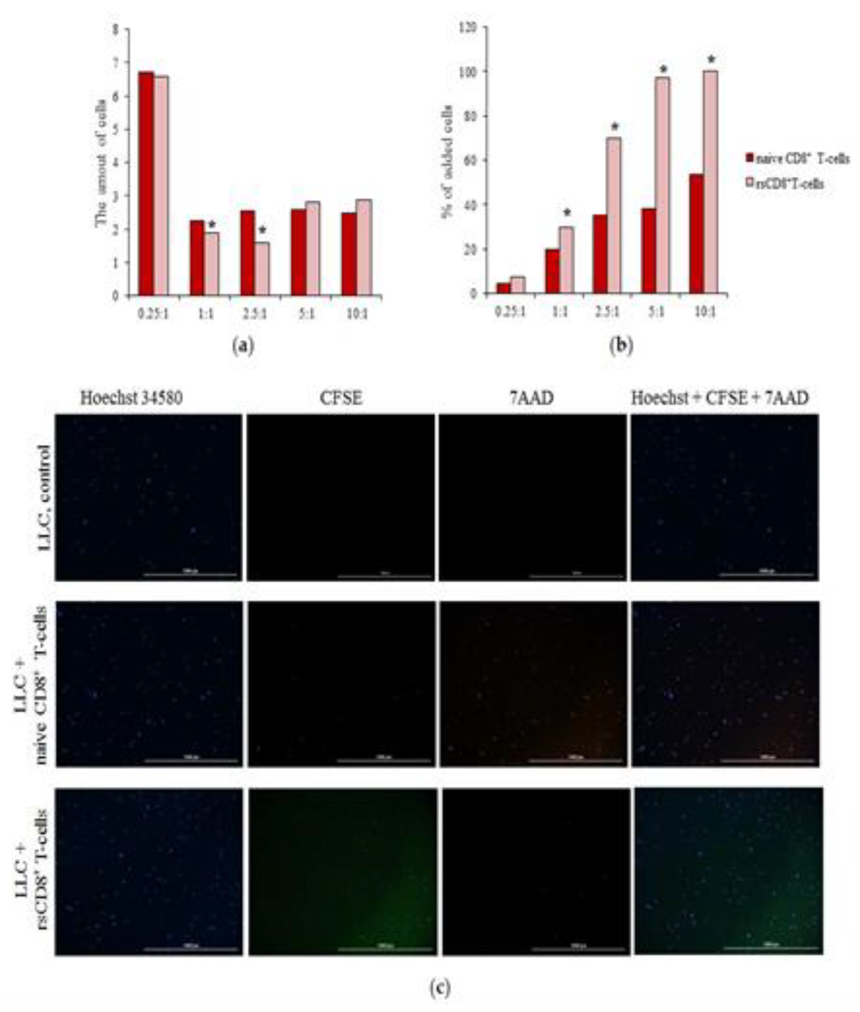 Preprints 104180 g006