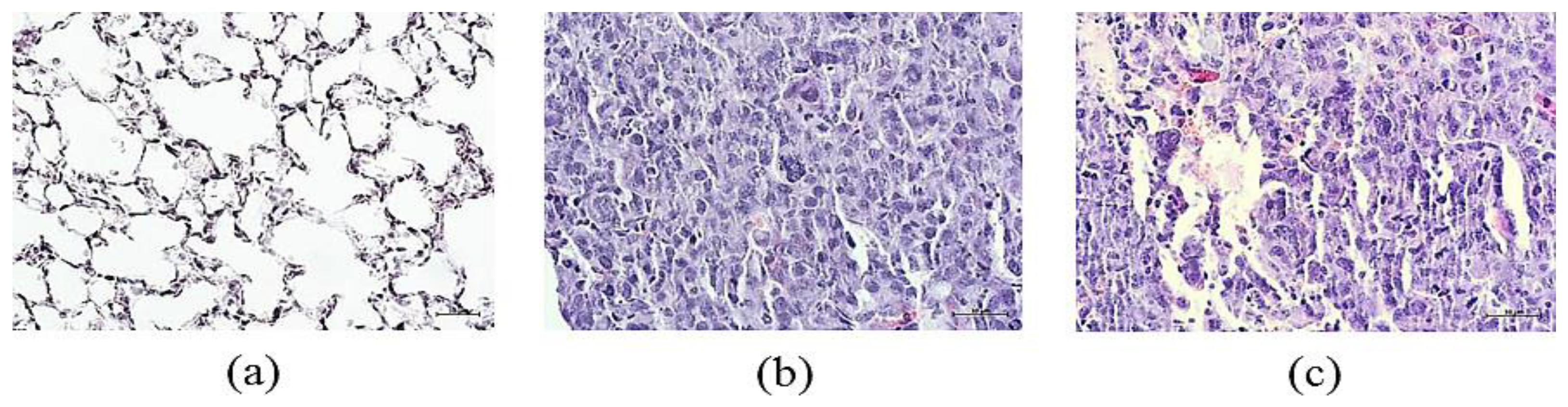 Preprints 104180 g015