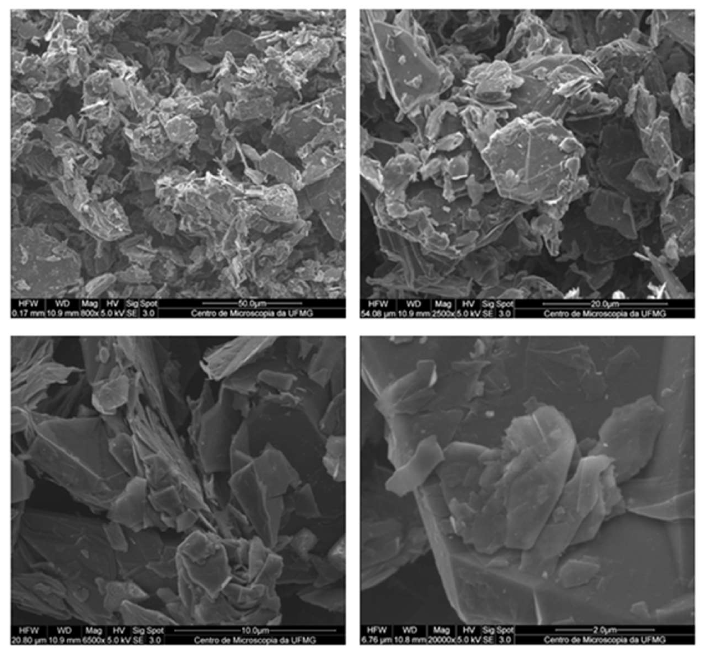 Preprints 142458 g003