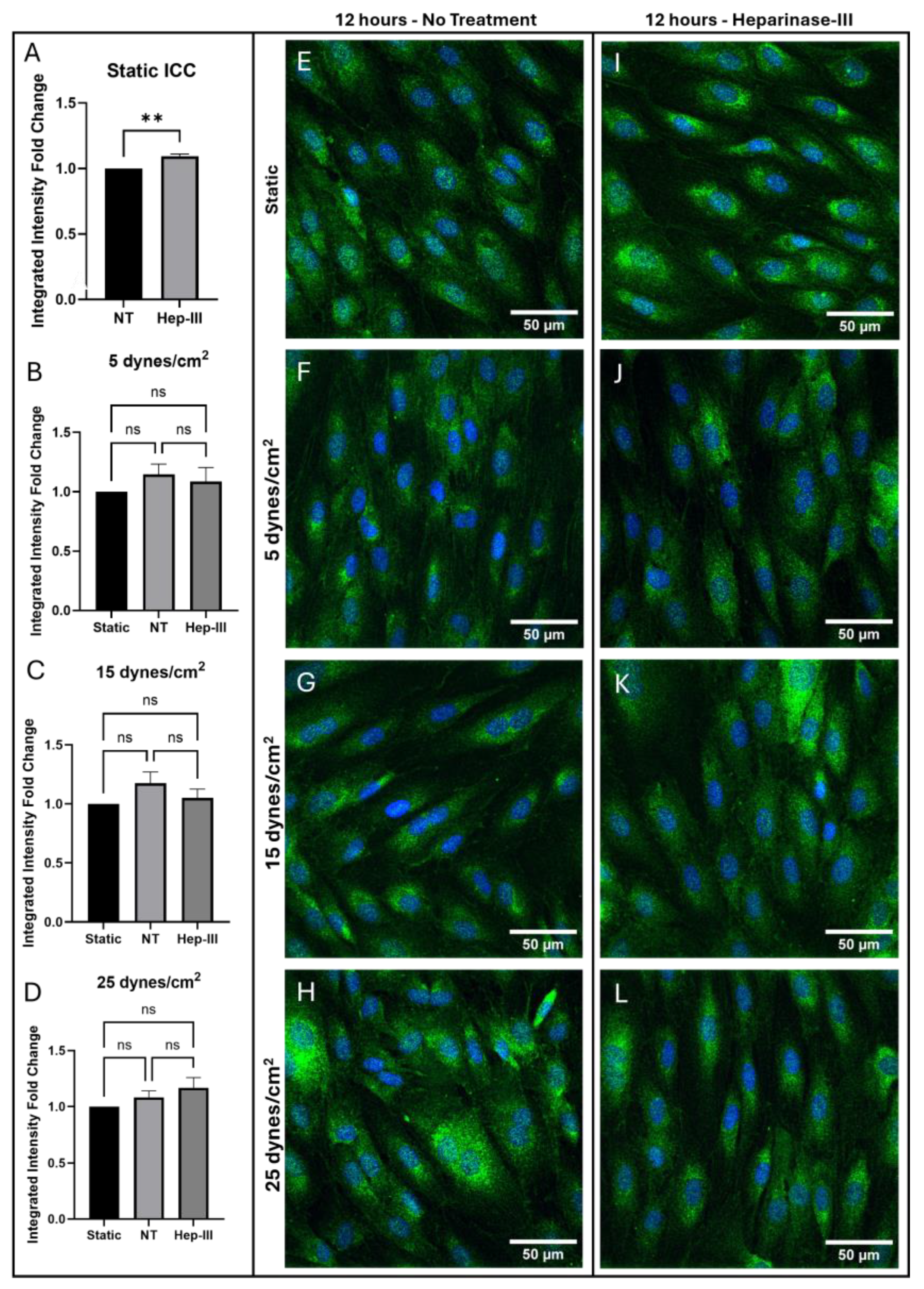 Preprints 162068 g001