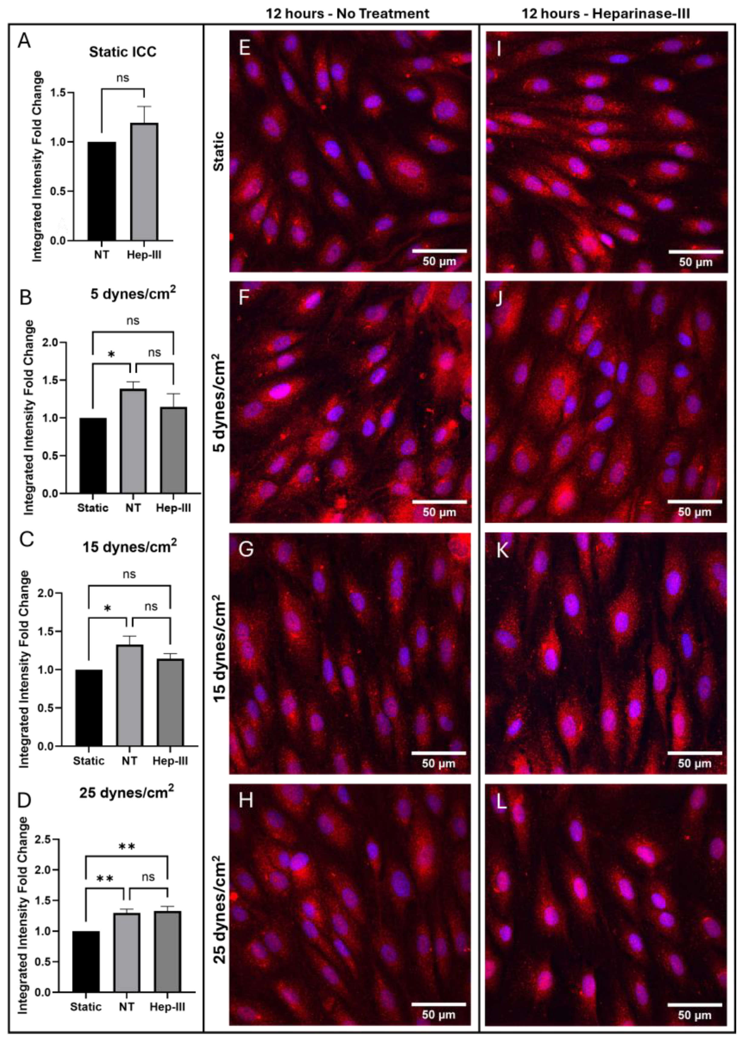 Preprints 162068 g003