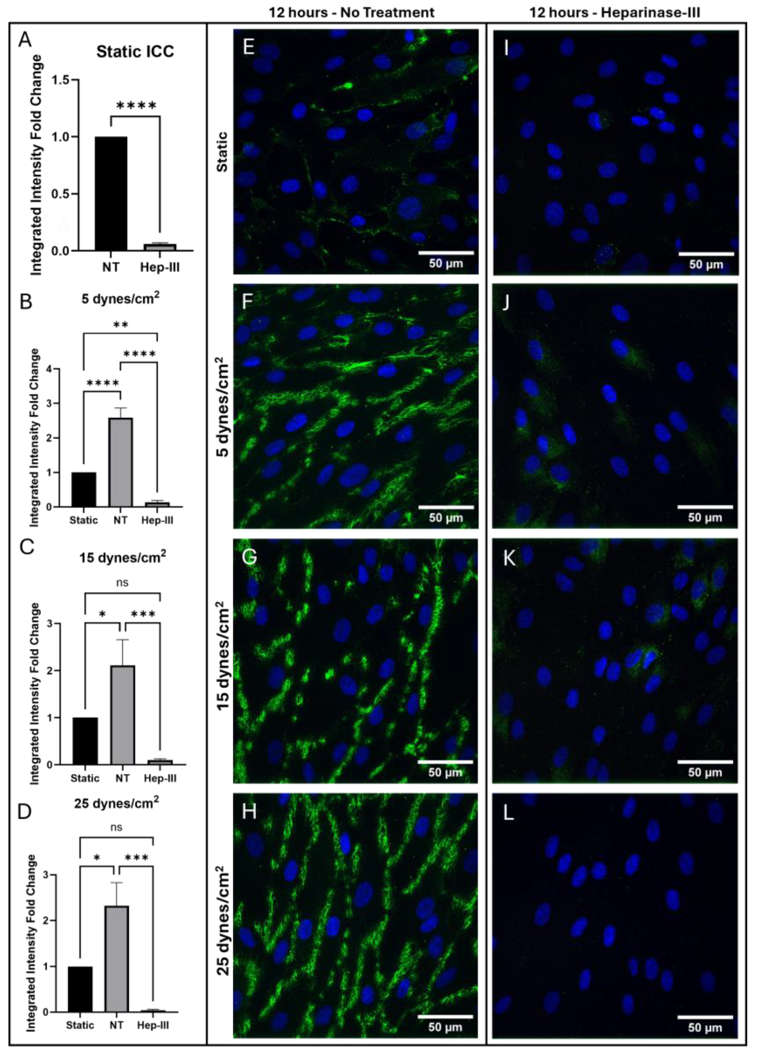 Preprints 162068 g005