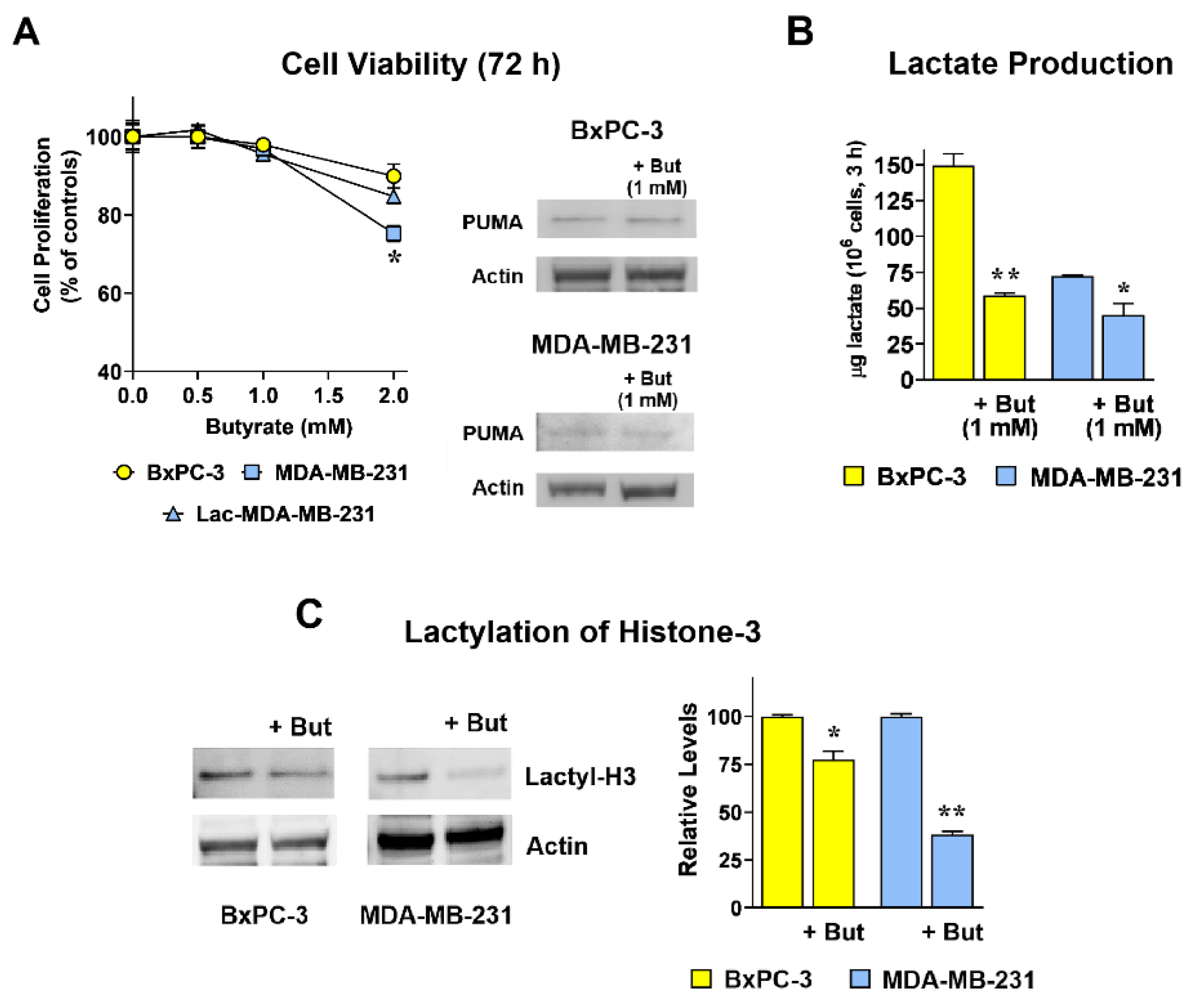 Preprints 190538 g001