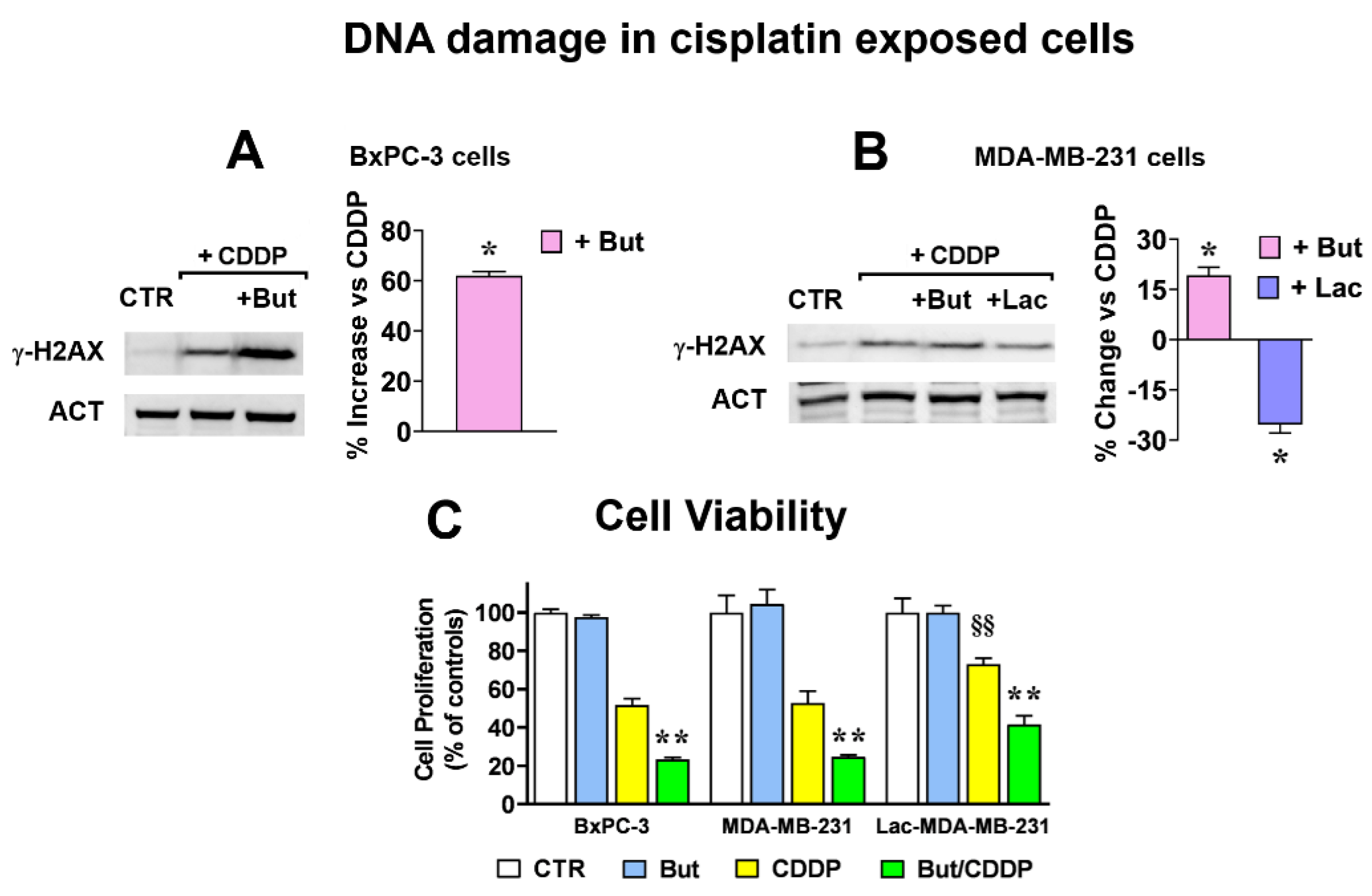 Preprints 190538 g002