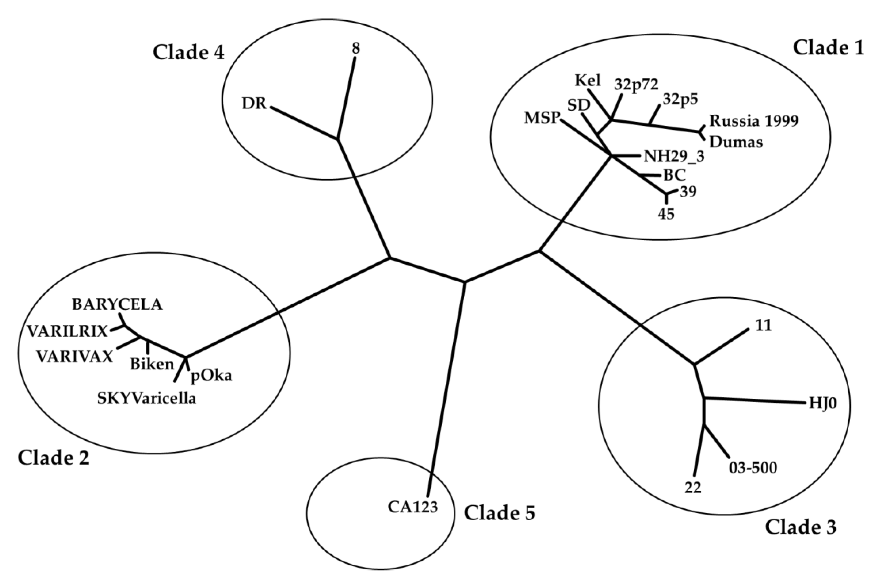 Preprints 105151 g001