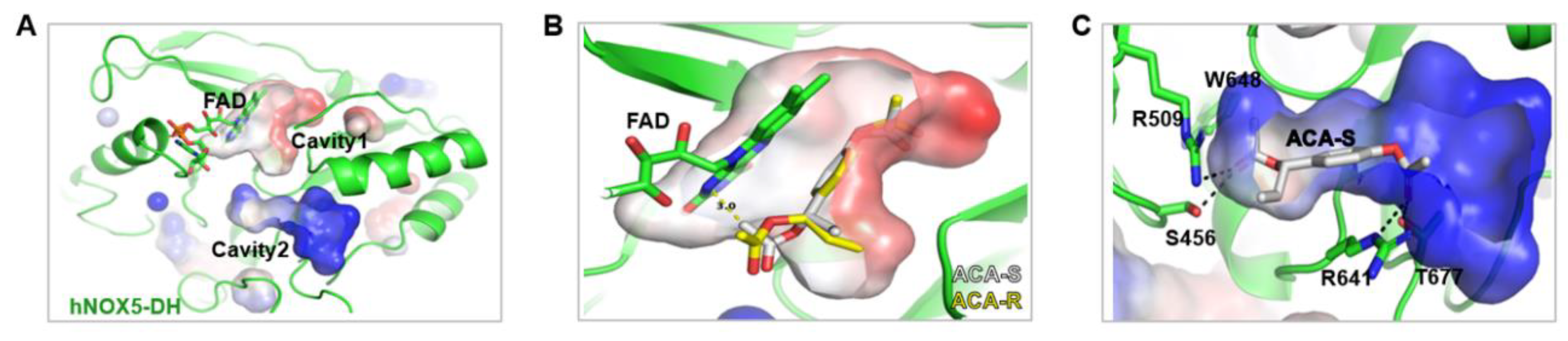 Preprints 156854 g003