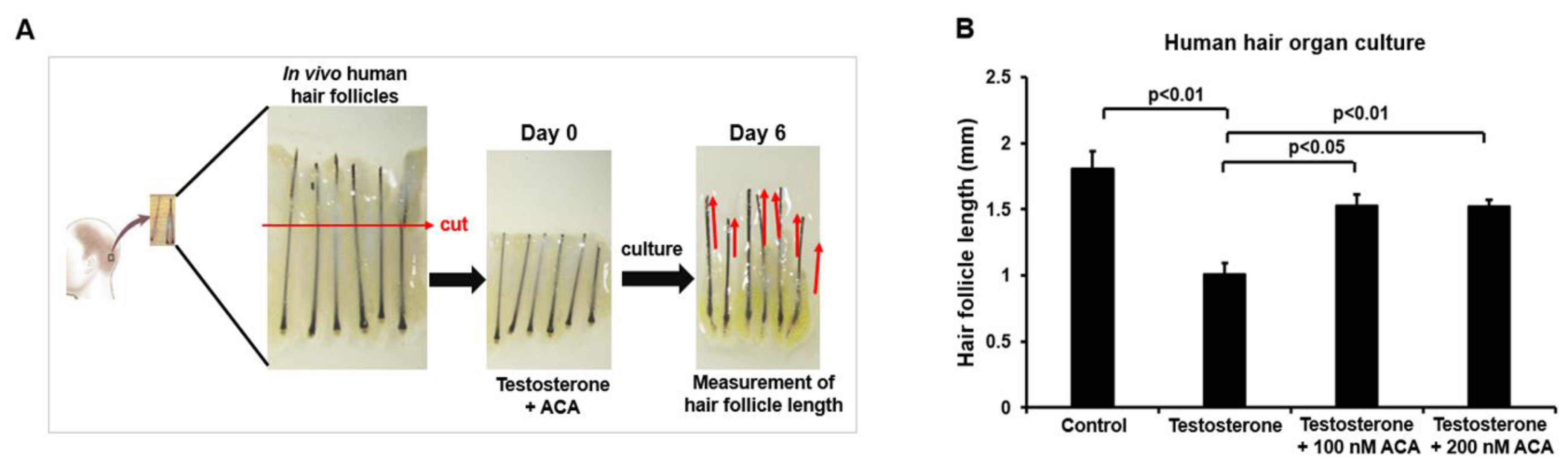 Preprints 156854 g005