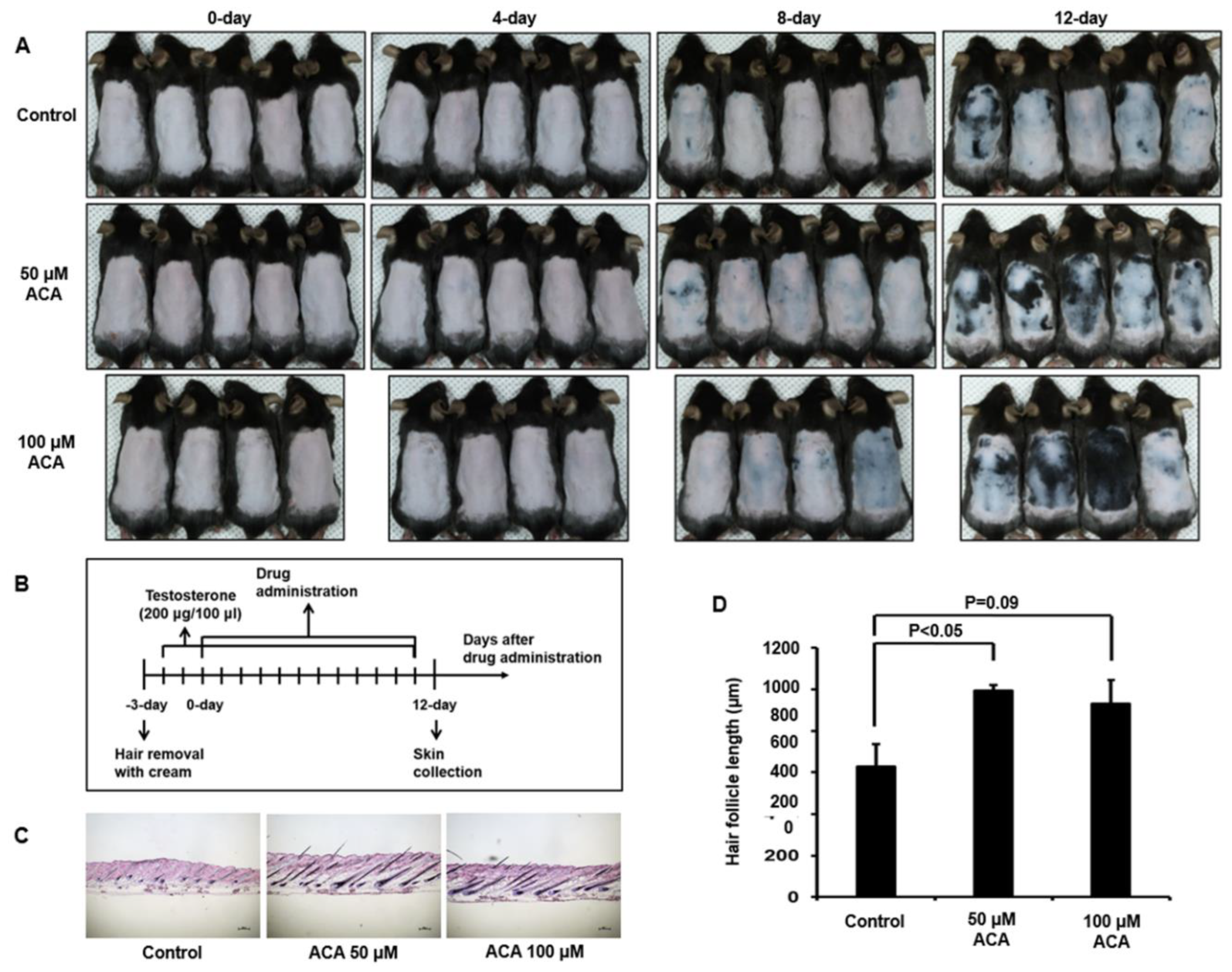 Preprints 156854 g006