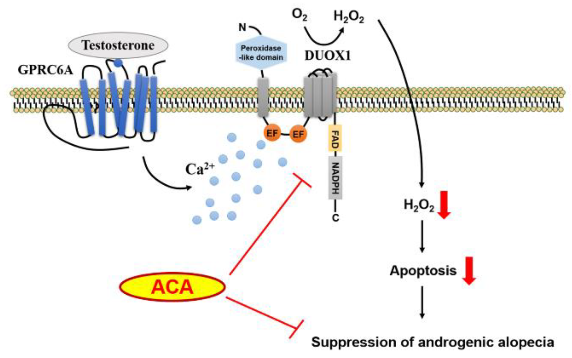 Preprints 156854 g007