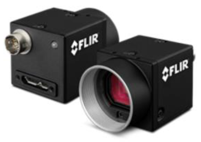 Preprints 158881 g005