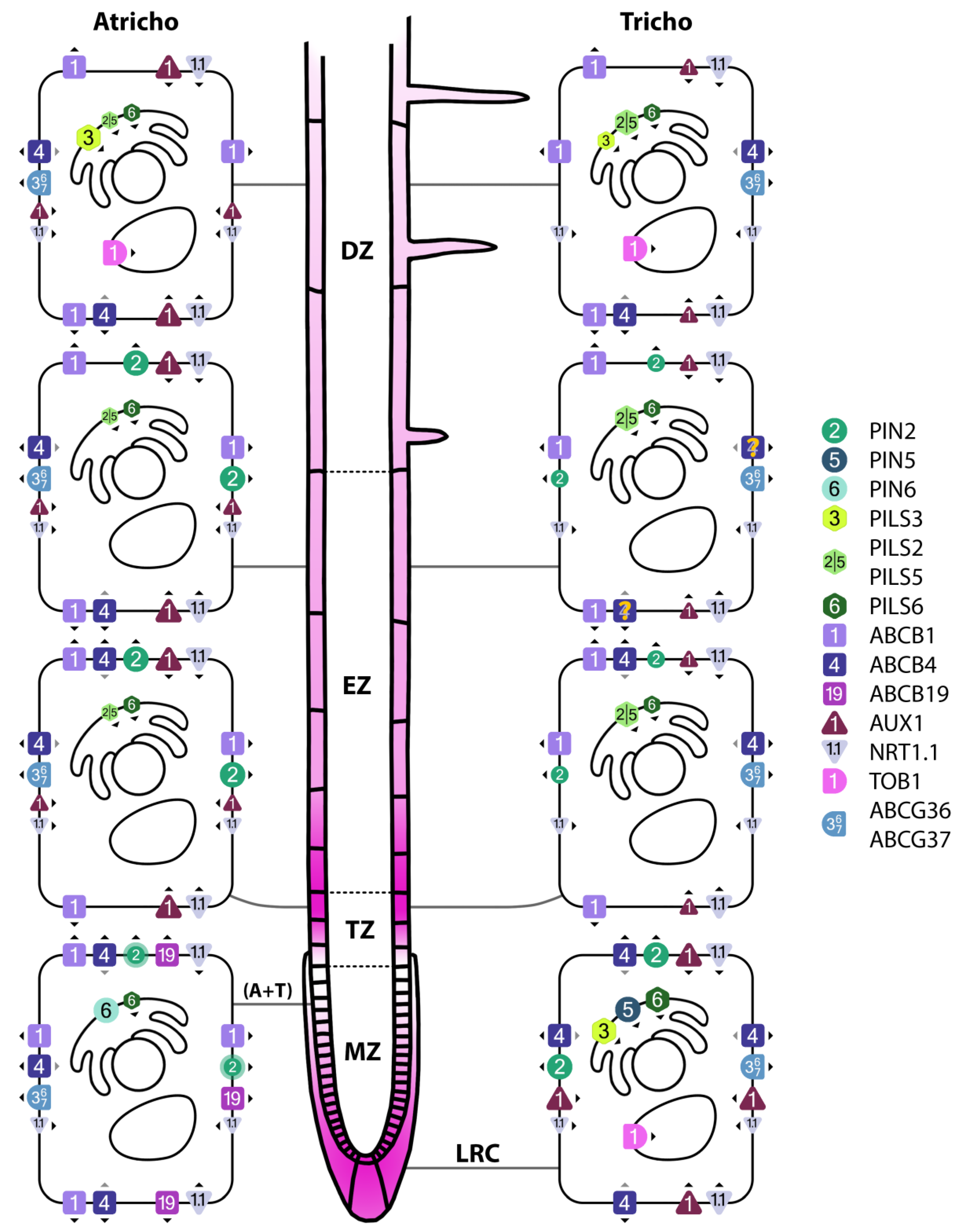 Preprints 181620 g002