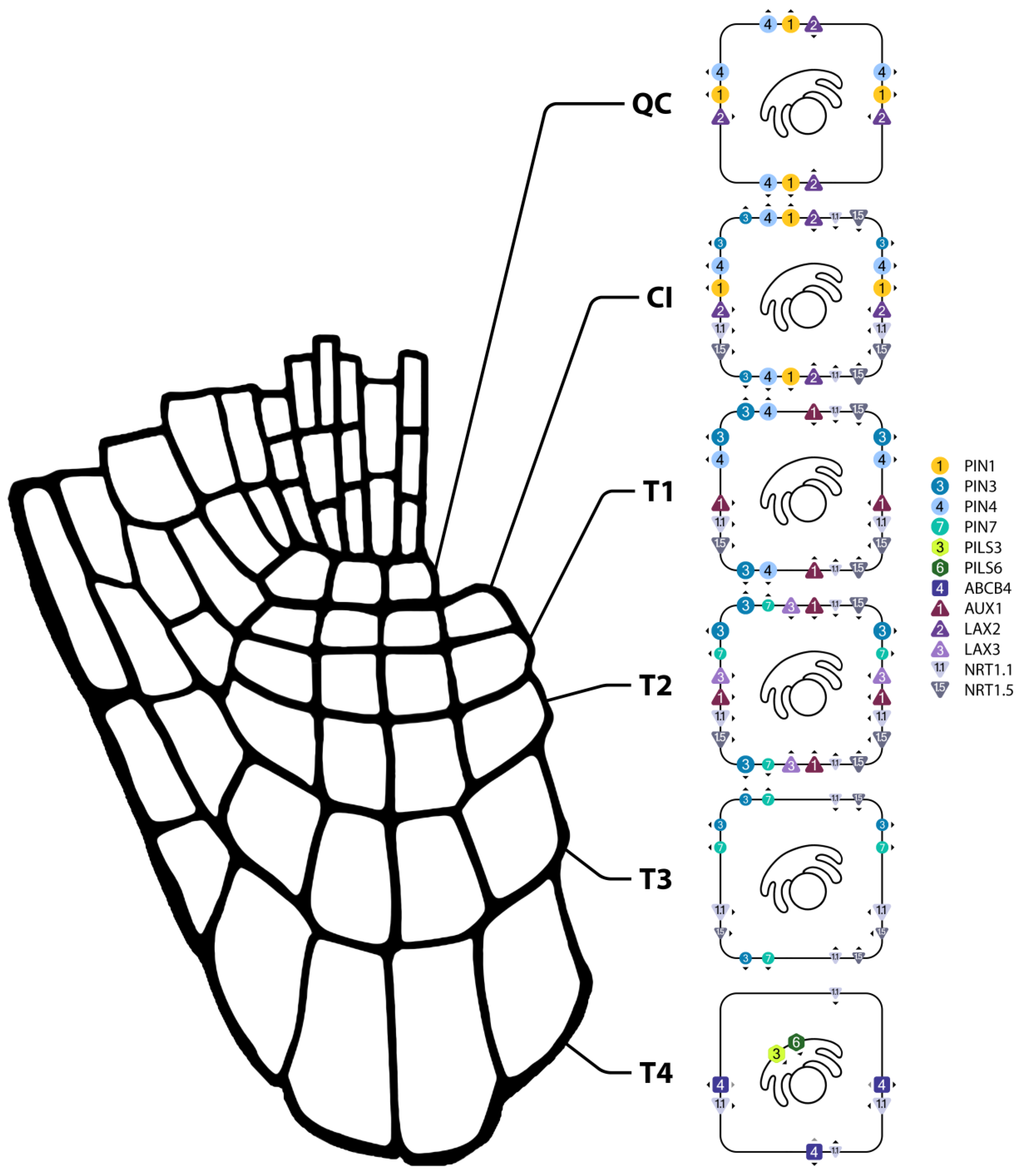 Preprints 181620 g003