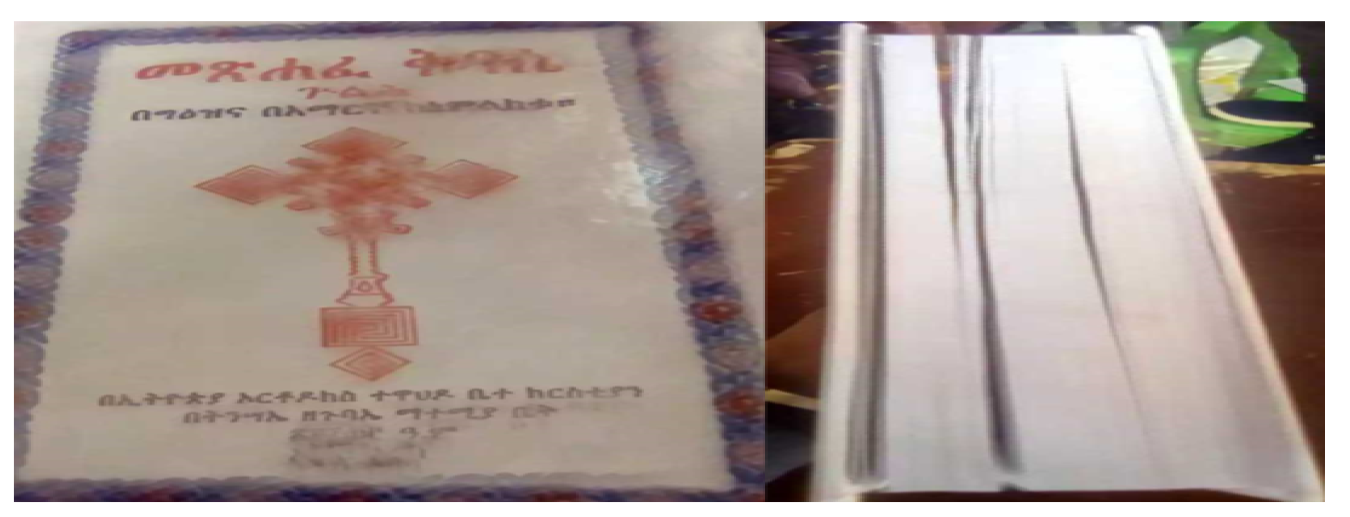 Preprints 141797 g002