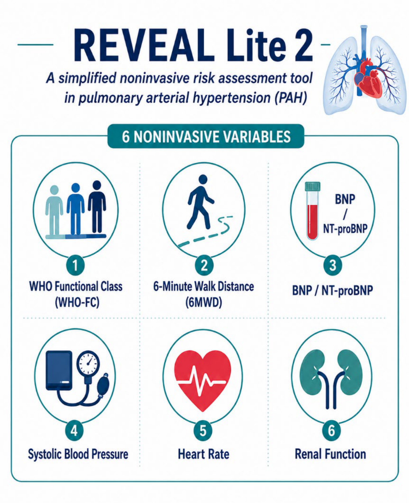 Prognostic Factors in Pulmonary Hypertension[v1] | Preprints.org