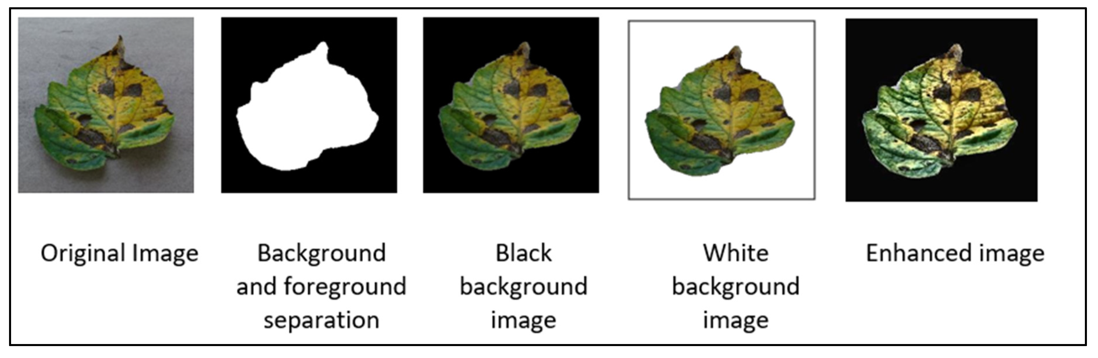 Preprints 193588 g002